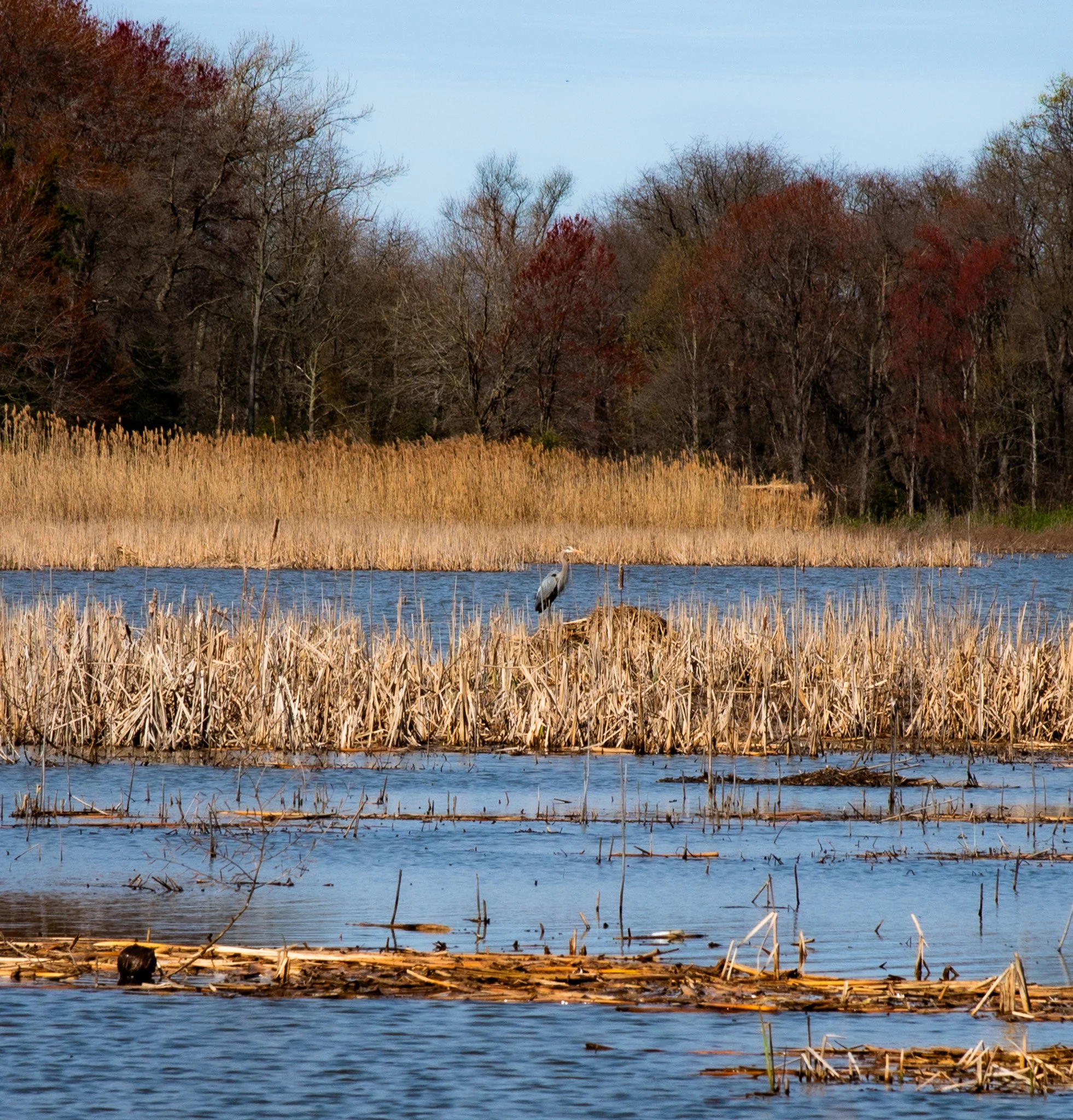 DSC_3174.jpg