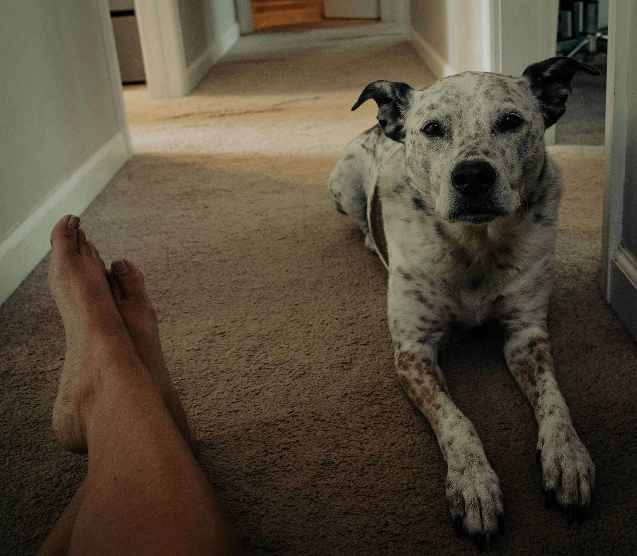 DSC_1857.jpg