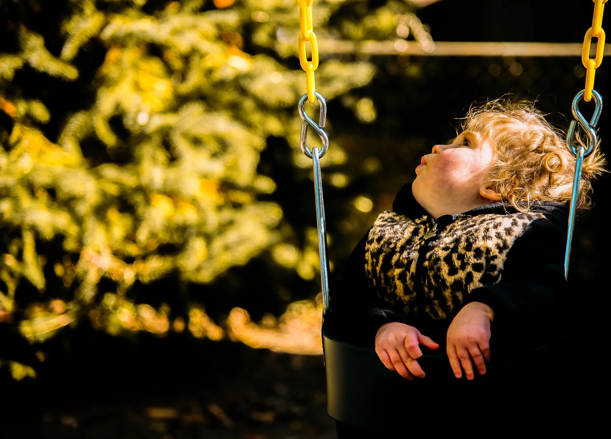DSC_8092-2 (2).jpg