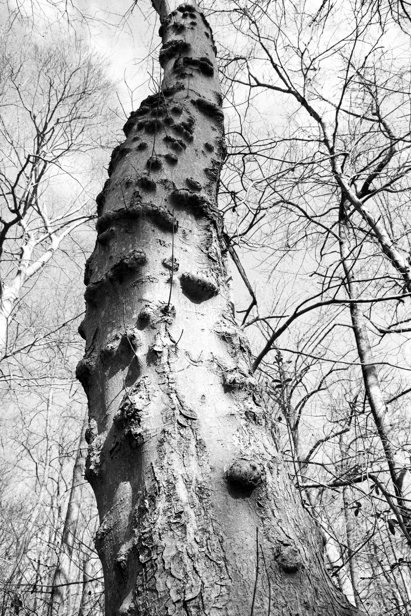 DSC_0840.jpg