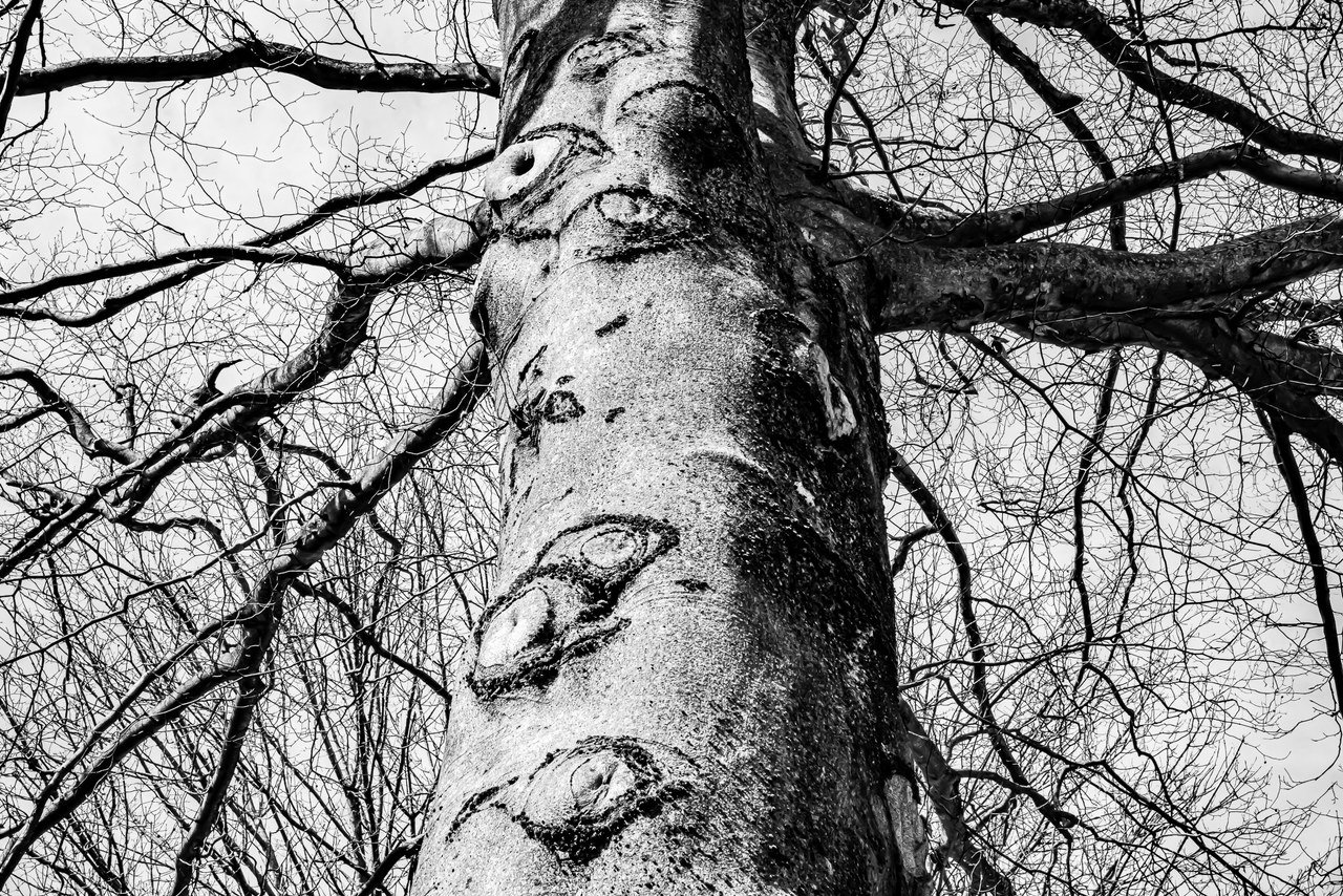 Bryn Mawr, Neighborhood