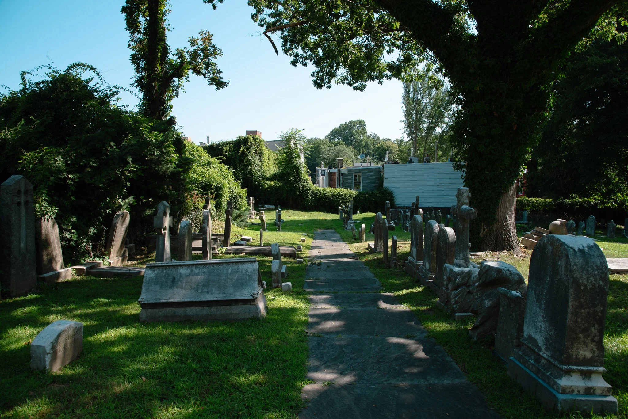 DSC_2021.jpg