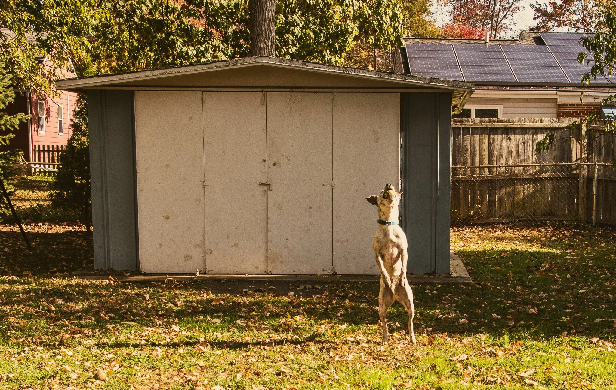 DSC_8081.jpg