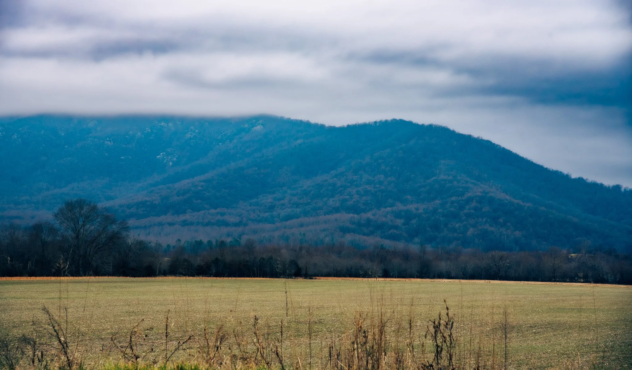 DSC_1519.jpg