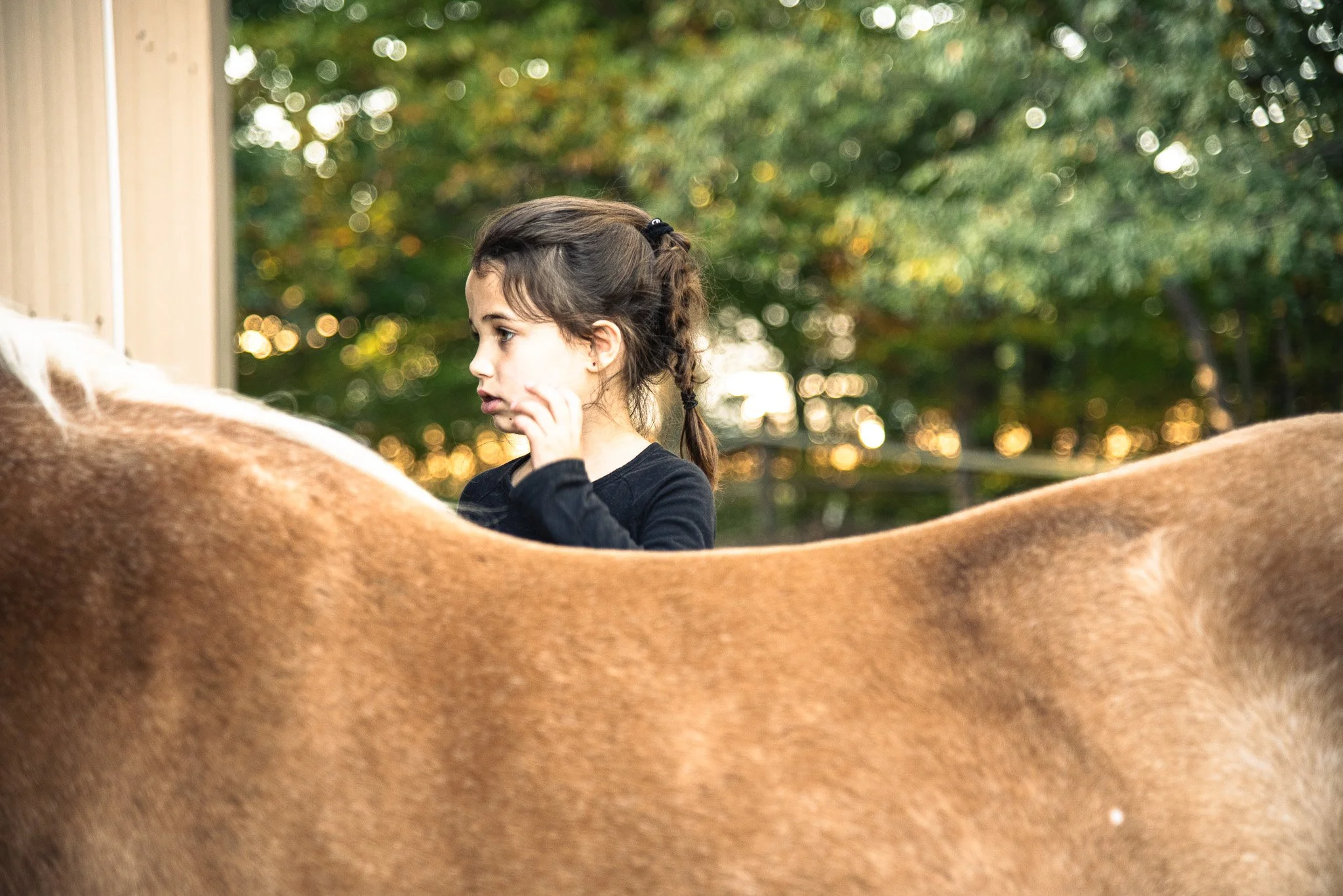 Savannah Rides a Horse