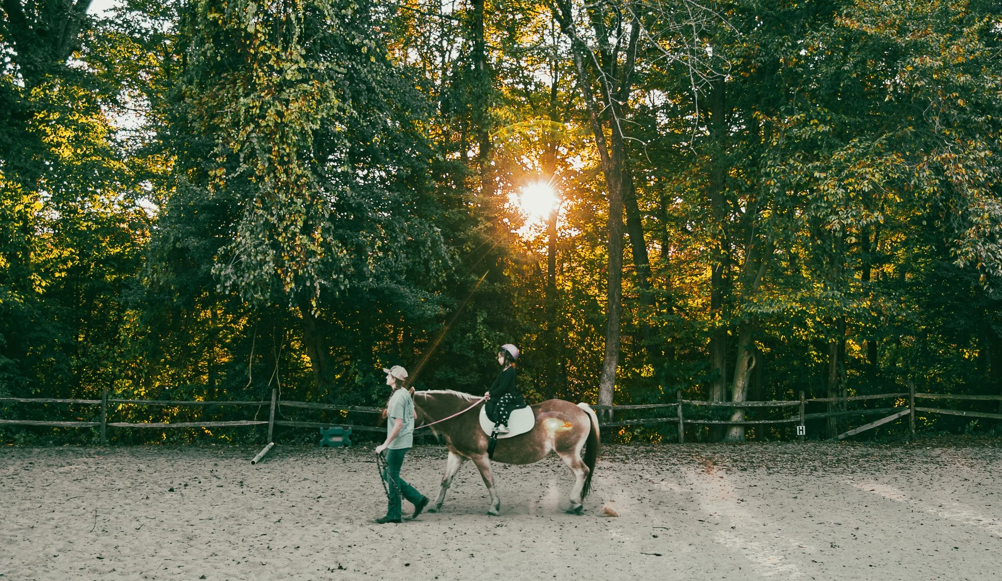 DSC_8815.jpg