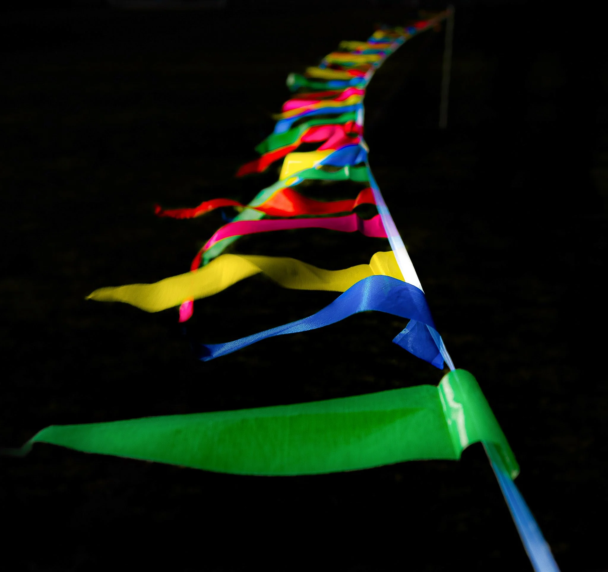 DSC_3987 (2).jpg