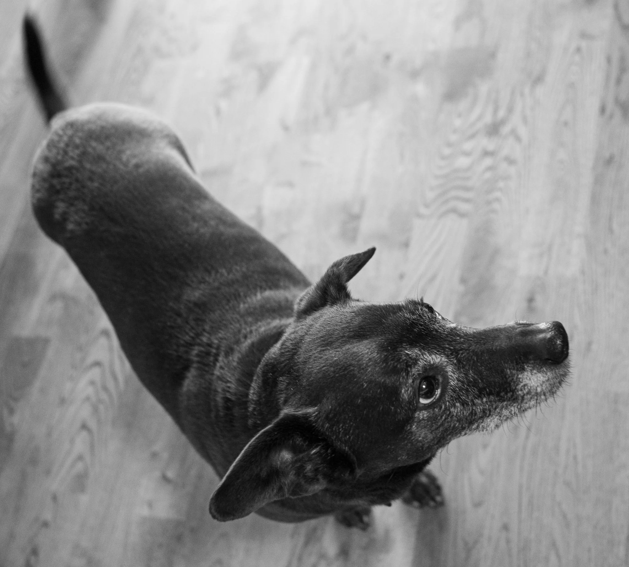 DSC_2290 (2).jpg