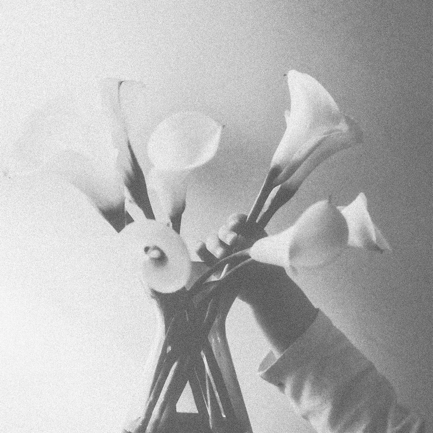 202AF16D-2E59-42B9-BE4F-A6FE0F148D6B (3).jpg