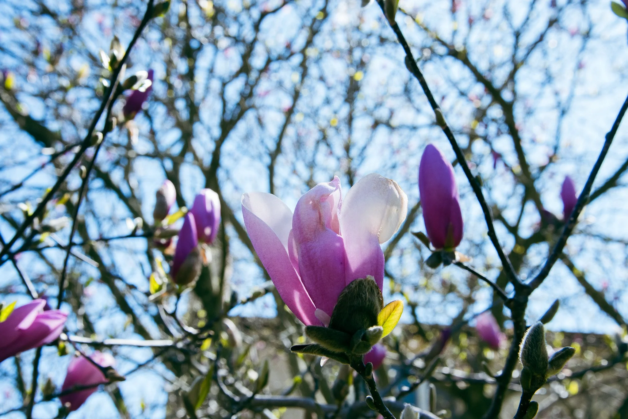 DSC_0644.jpg