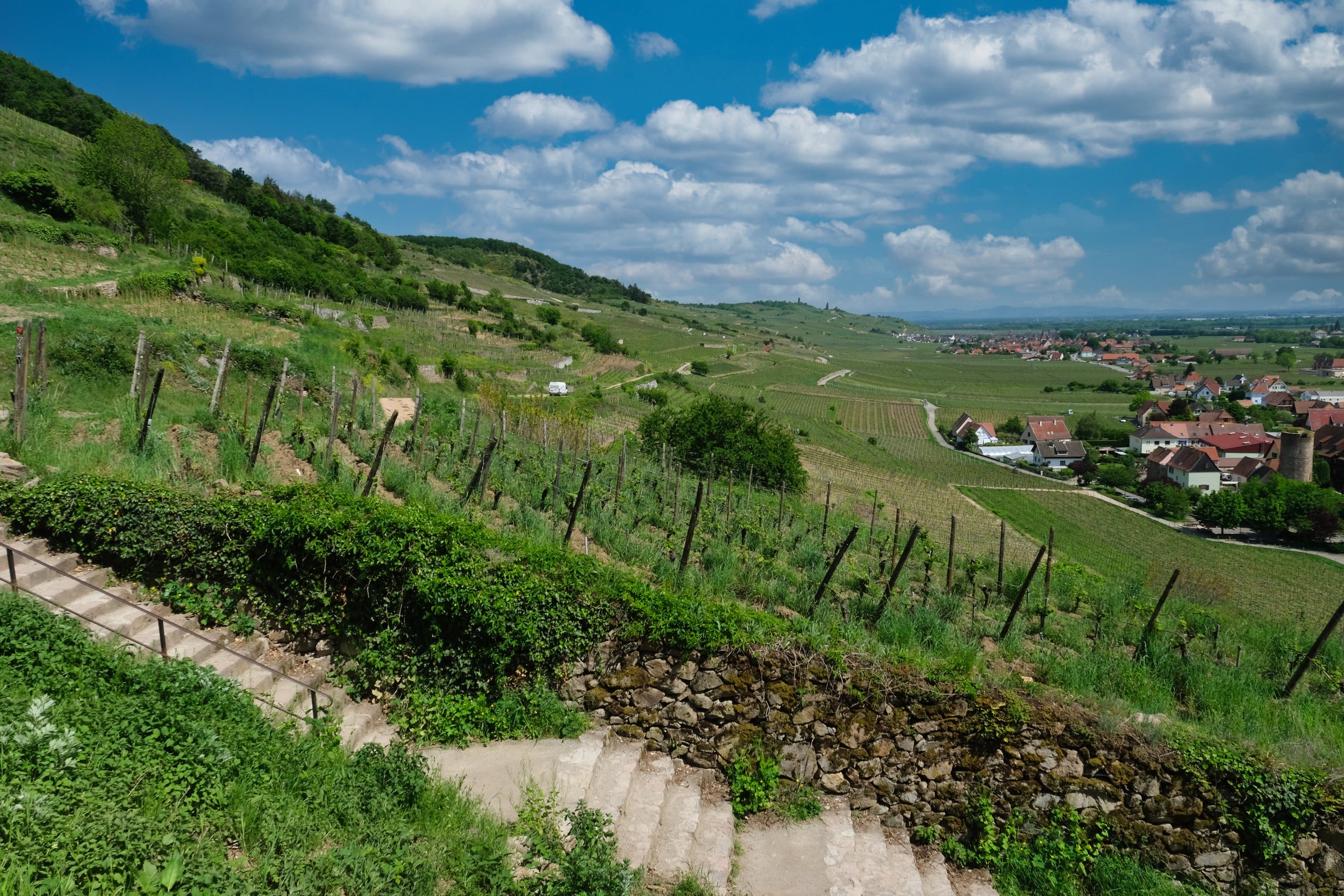 French Wine Country