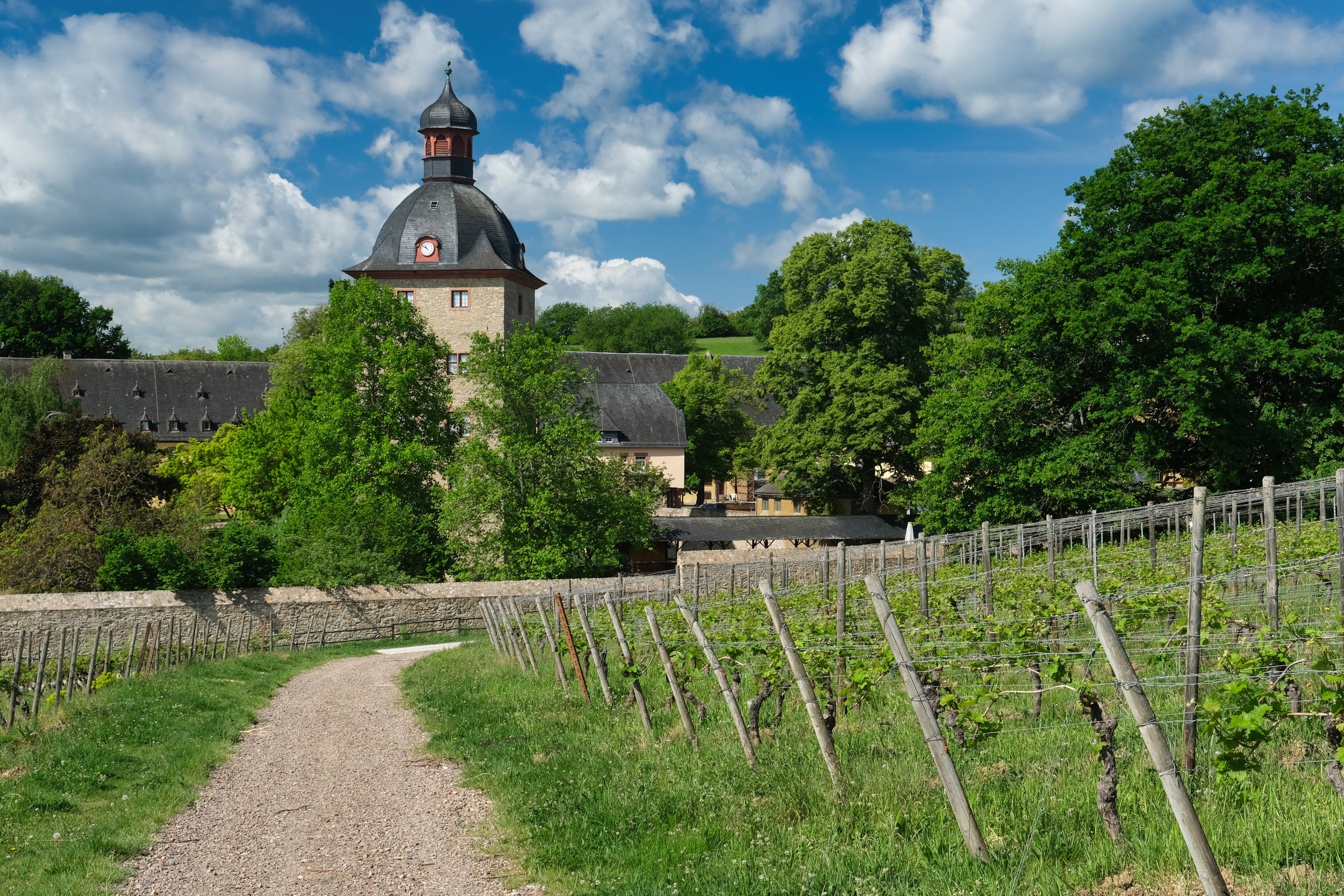 Where Riesling is King