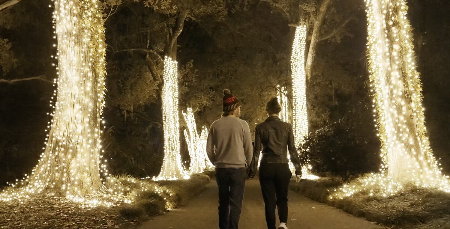 Glowing Forest, towering trees wrapped in warm holiday light