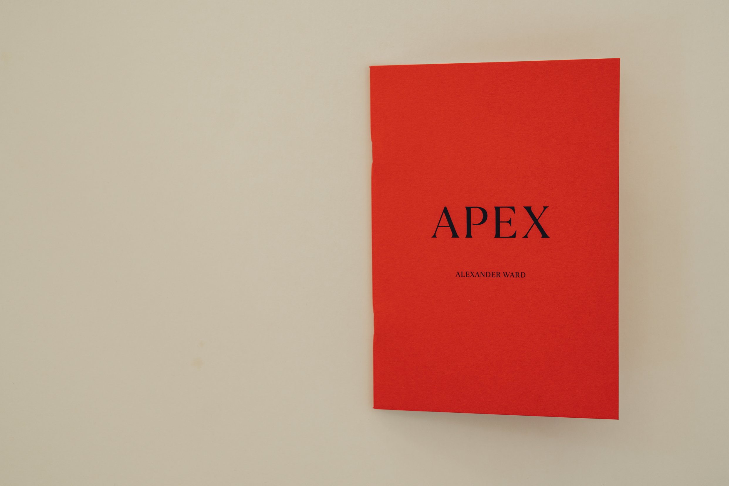 Apex_Booklet_SMALL_DSC05083.jpg