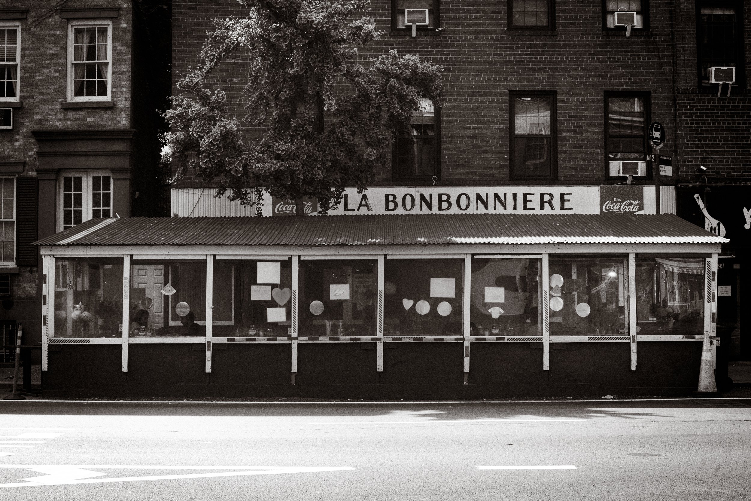 benerofe_noa_003.jpg