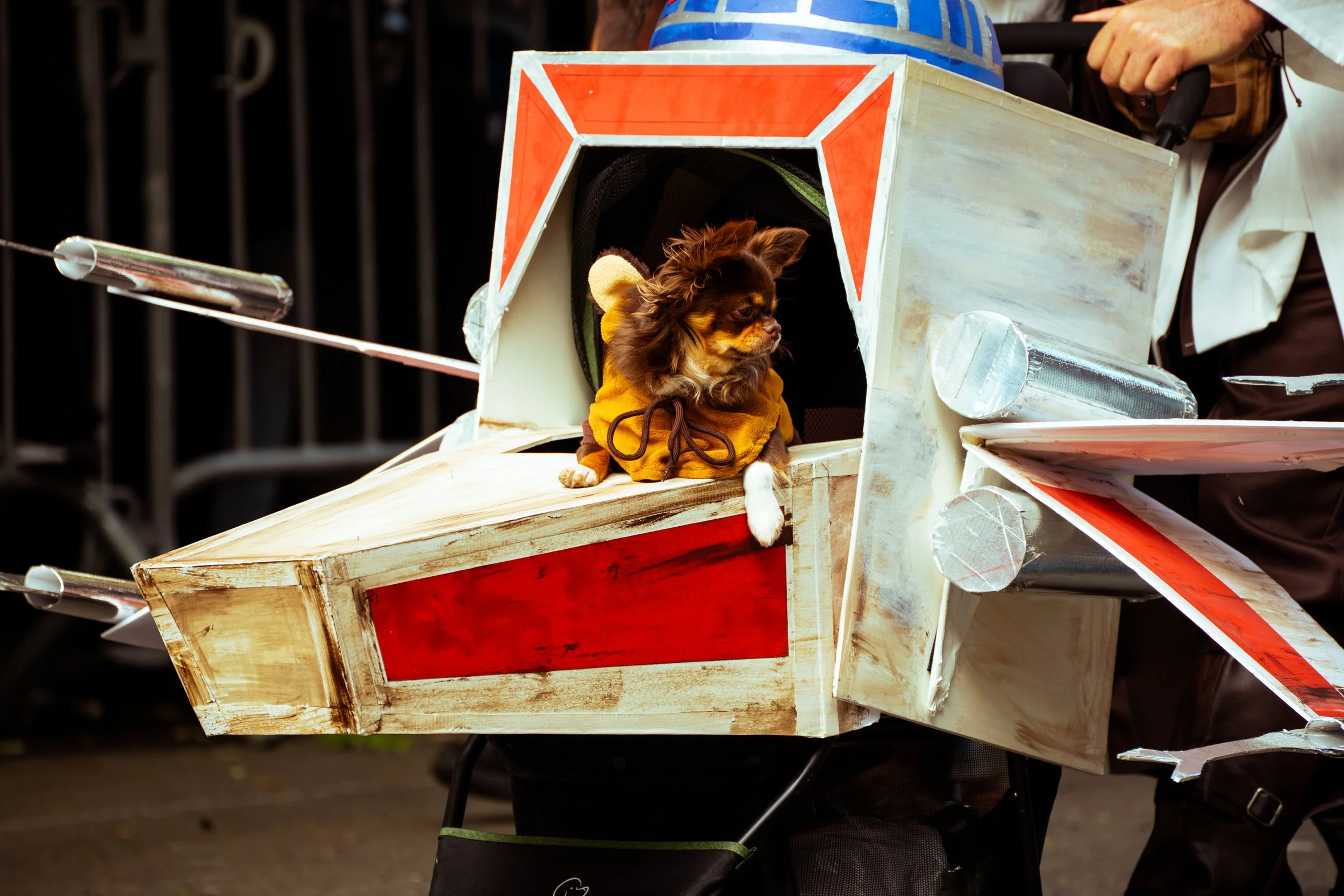 benerofe_noa_046 2.jpg