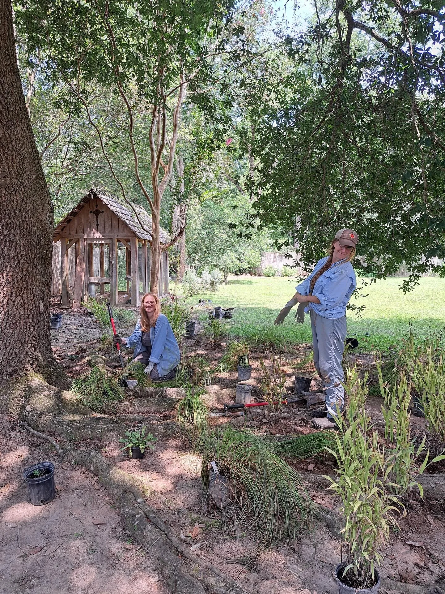 Our goal was to create a resilient, durable landscape with carefully selected plants meant to attract pollinators plus the ability to withstand the daily hustle and bustle of children&rsquo;s feet AND happy hens! 
🐓 🌾🦋🐓🌾🦋🐓🌾🦋🐓

162 plants la