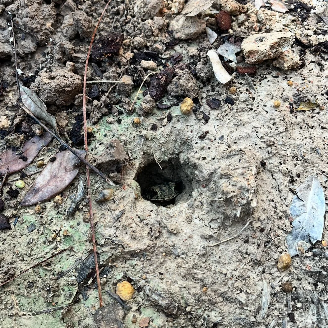 Who else feeling like this guy after a long weekend?