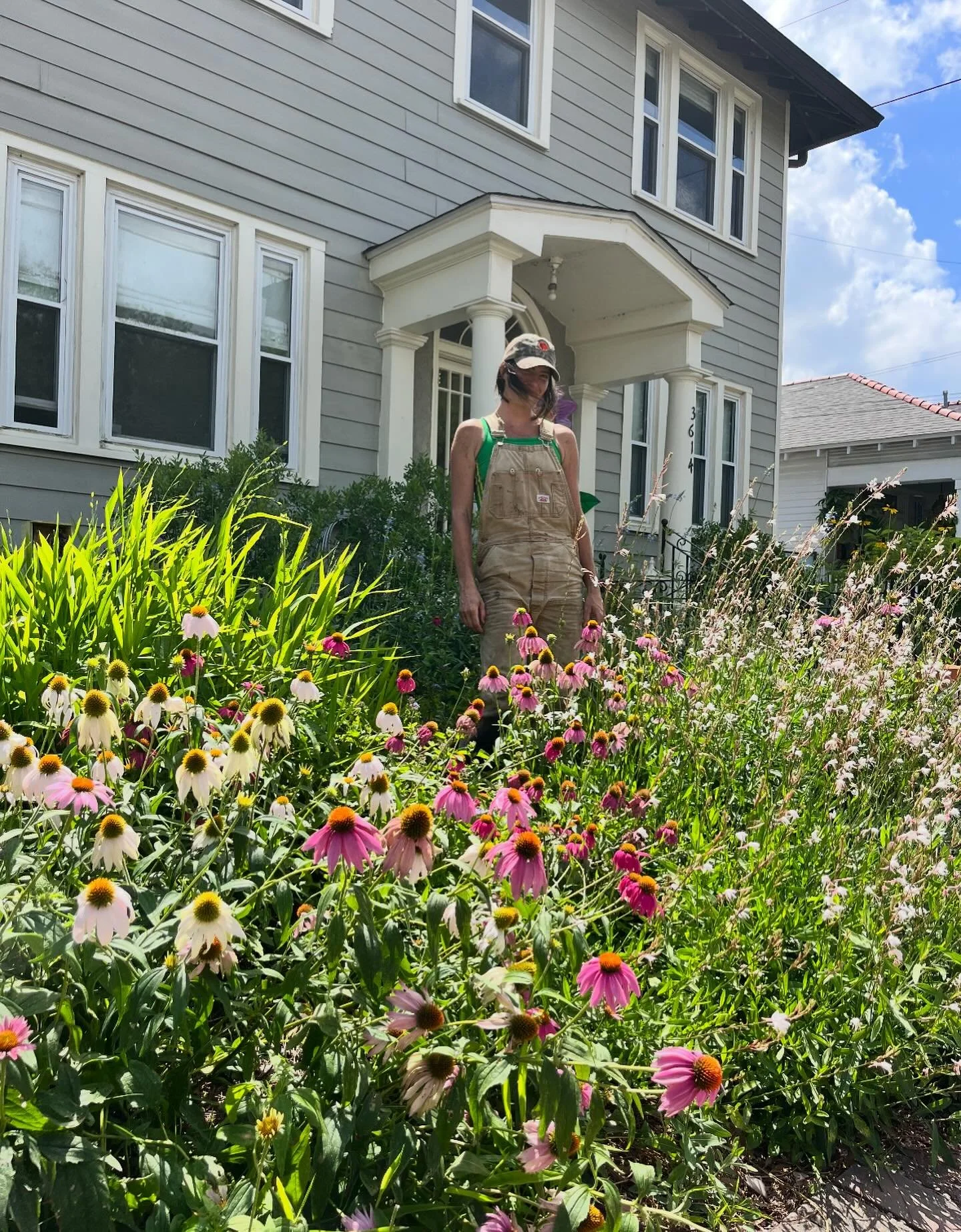 This cold front got us yearning for May weather 🌻🌾🌸🌱🌼🌿🌷🍀🪻