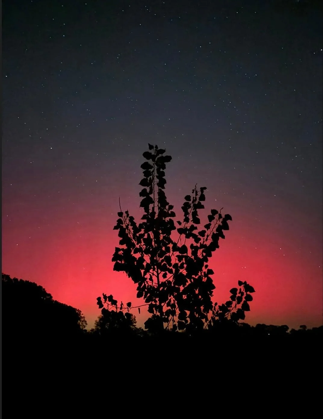 ISN&rsquo;T OUR GALAXY ASTOUNDING 

 🌌 🌕 ⭐️ 🪐 ☄️ 🌈 🌌

The aurora borealis was visible in an unusually wide swath of the United States this week, including the south! 

This rare southern visibility was due to a severe geomagnetic storm, caused b