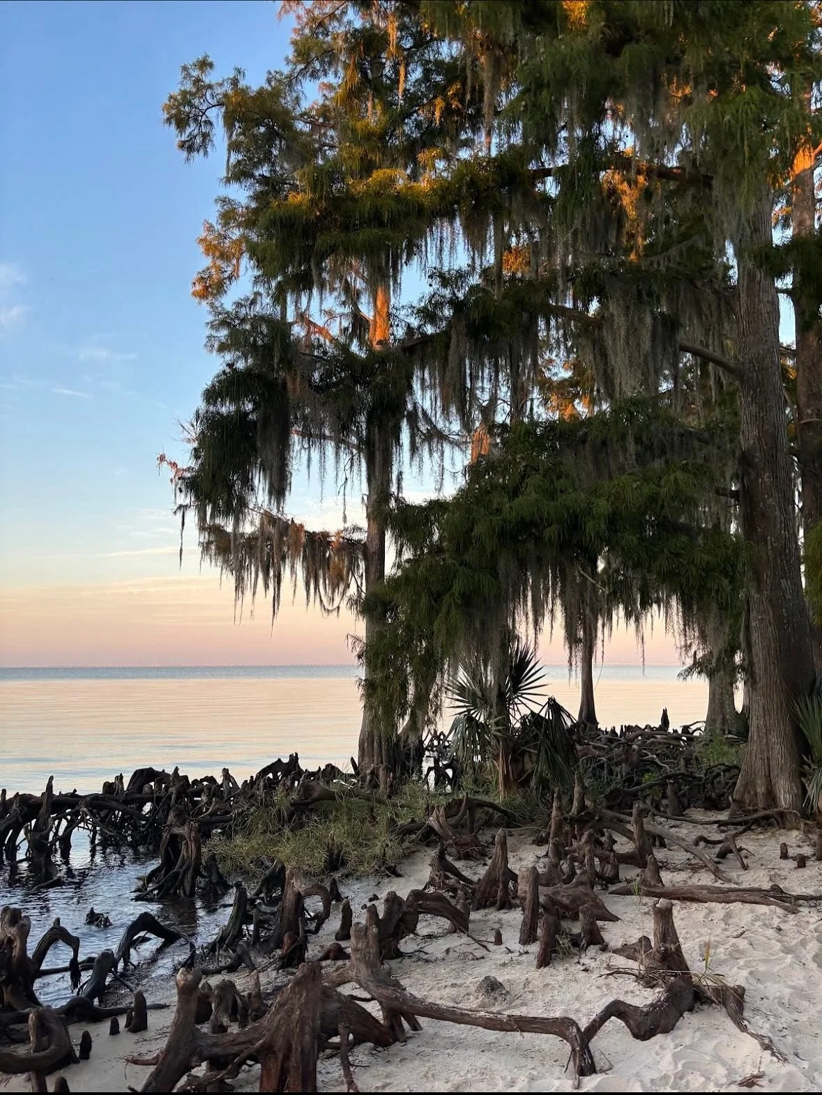 We always make a little time to play 🌻