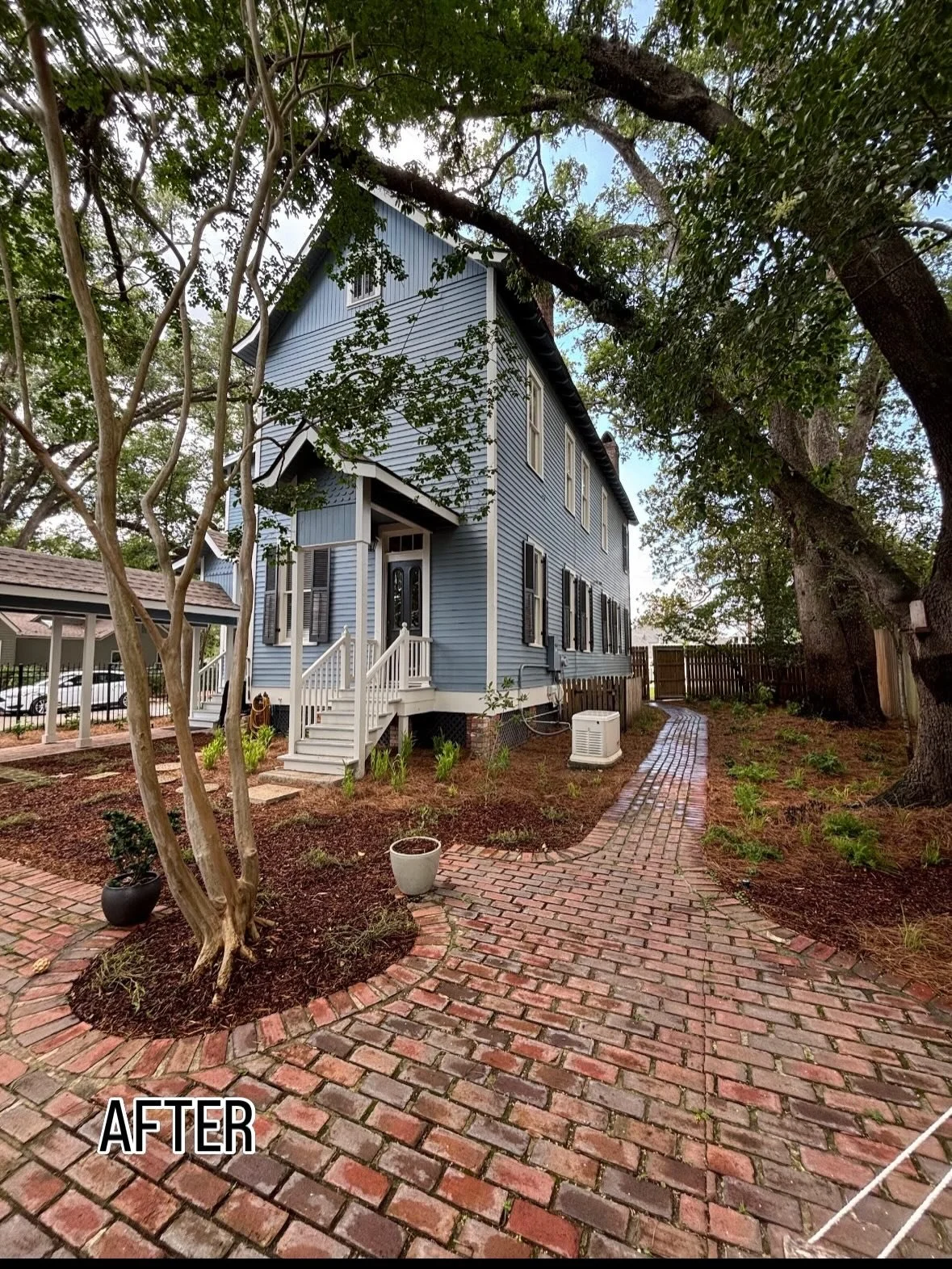 Throwback to last June with this wonderful backyard transformation in Baton Rouge ⚜️
To showcase the two live oaks as the focal point of the landscape, we planted shorter-growing sedges and ferns directly around them to enhance rather than compete wi