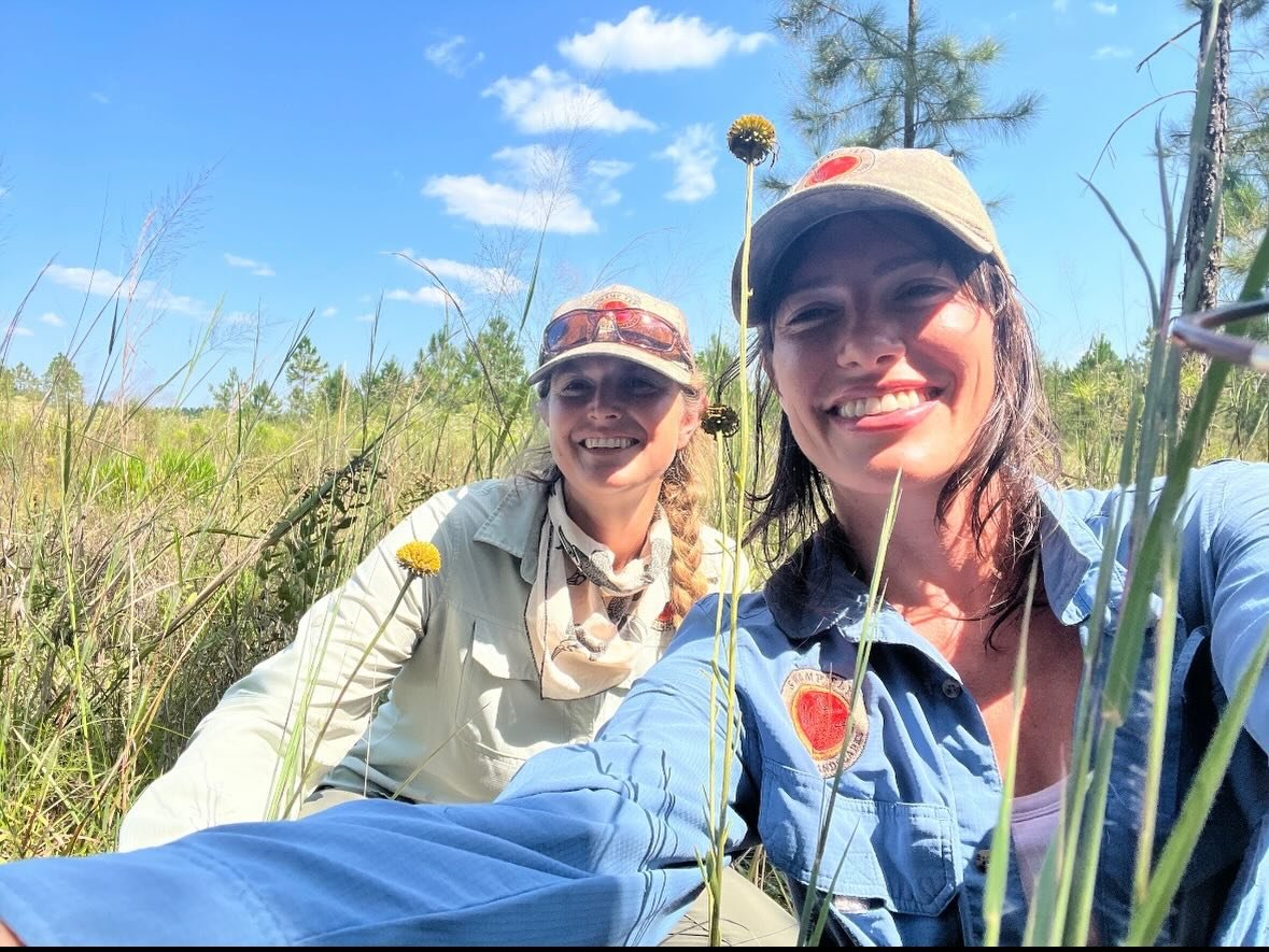 Spring is springing, yall! ☀️🌻🌧️🌱

If you&rsquo;re ready for a pollinator sanctuary, please visit our website to schedule a consult and let&rsquo;s make it happen!!🐛🌈🌸🦋🌞🌳