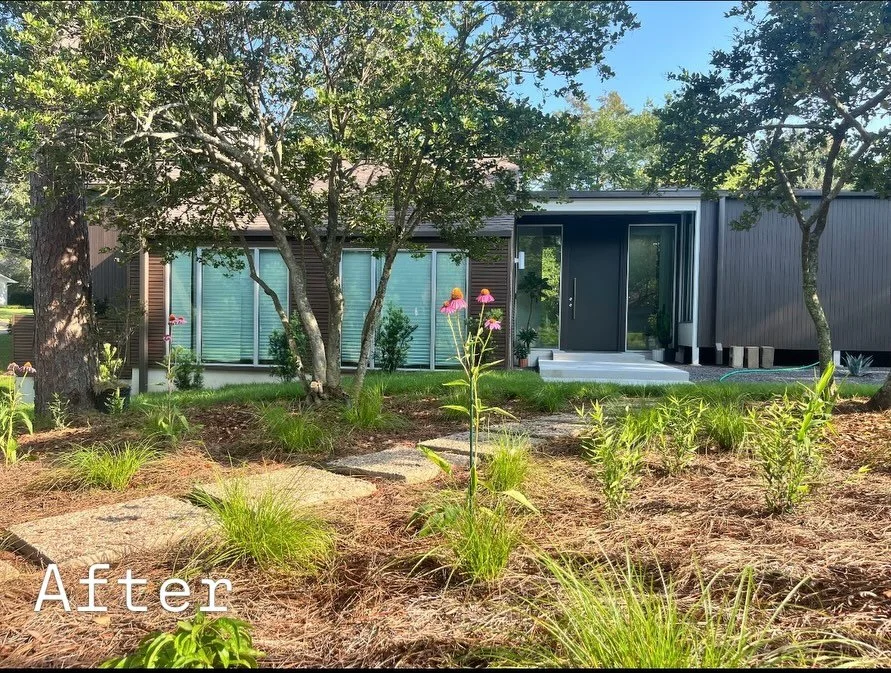 Throwback to a terrific transformation in Lafayette!⚜️
This low maintenance, natural yet architectural space offers unique, cohesive, year-round interest and abundant, diverse habitat for birds, pollinators and other neighborhood wildlife

🐇 🦋 🐦&z