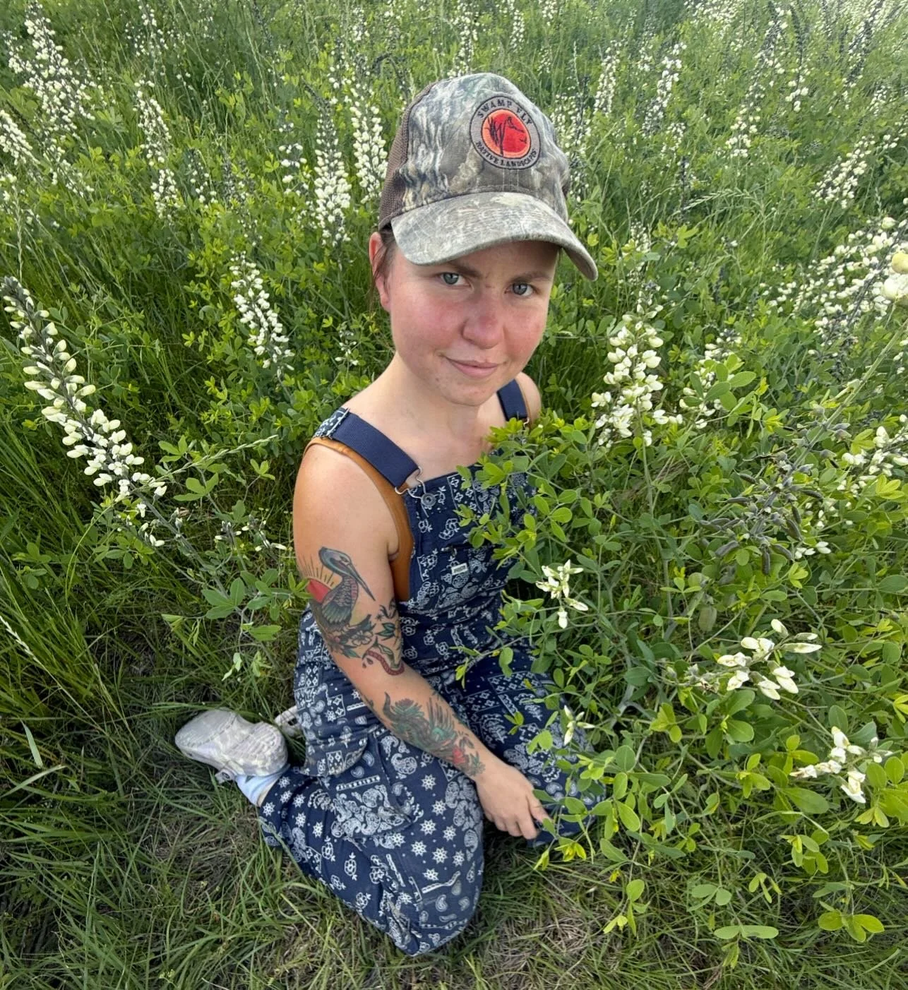 😍Judy with
🆔 Baptisia alba, aka white wild indigo or white false indigo, is an herbaceous perennial plant in the pea family, Fabaceae. It is native in central and eastern North America. 

 🫛 🪻 🫛 🪻 🫛 🪻 🫛 🪻 🫛 🪻 🫛 🪻

👕👖The name &ldquo;Ba
