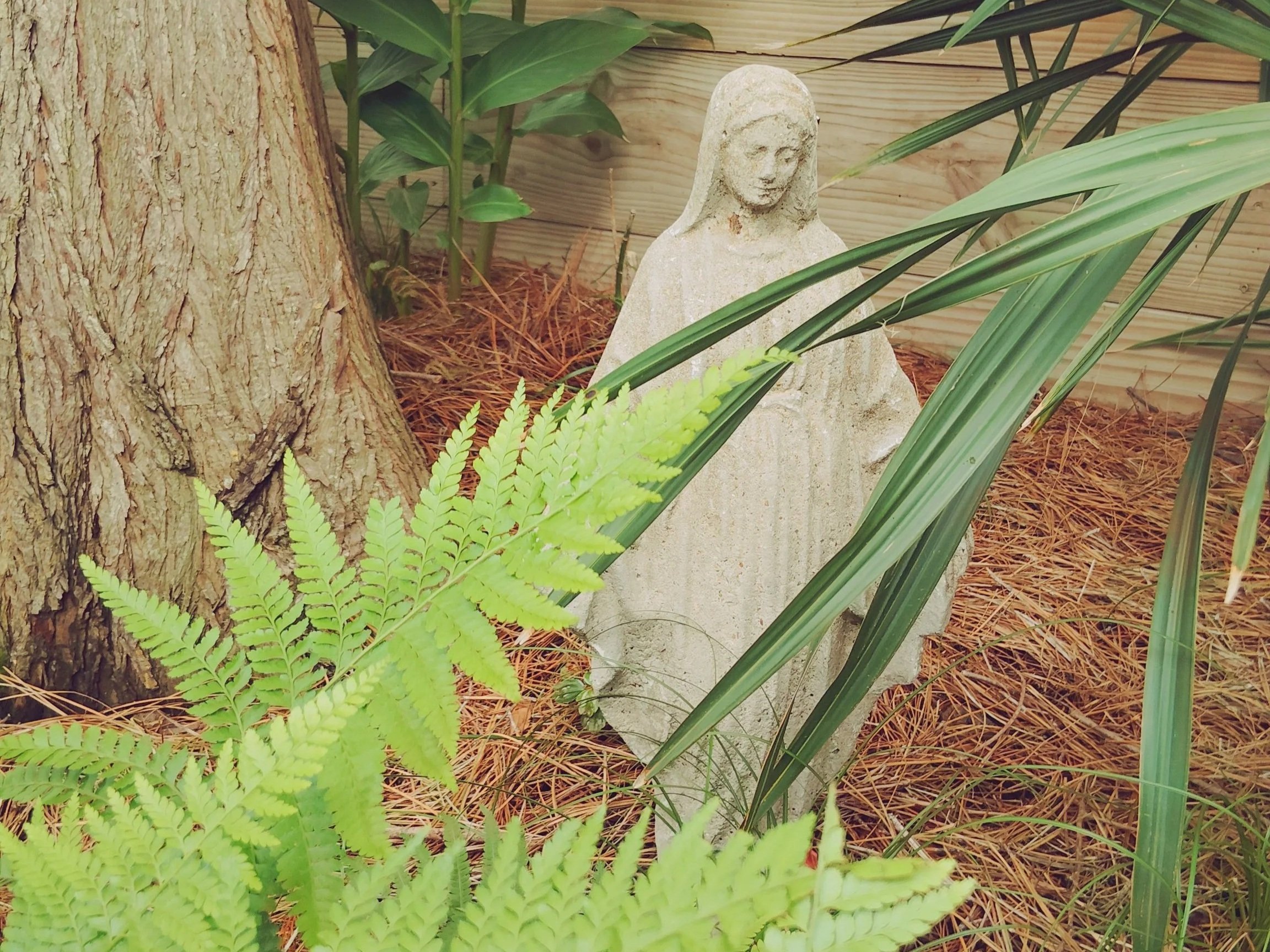 native-shade-garden-ferns-dwarf-palmetto-new-orleans-courtyard.jpg