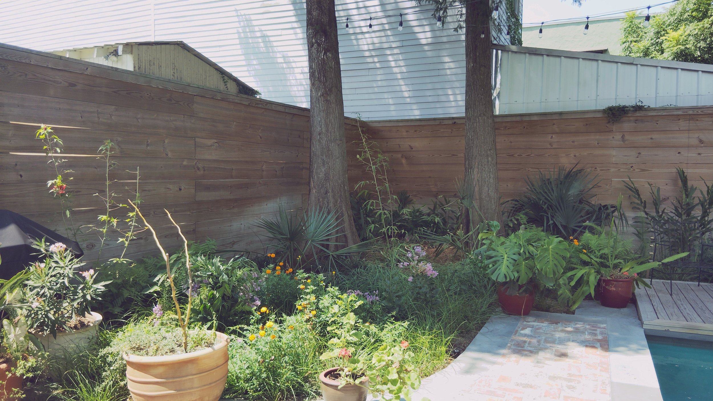 new-orleans-wildflower-potted-garden-native-design.jpg