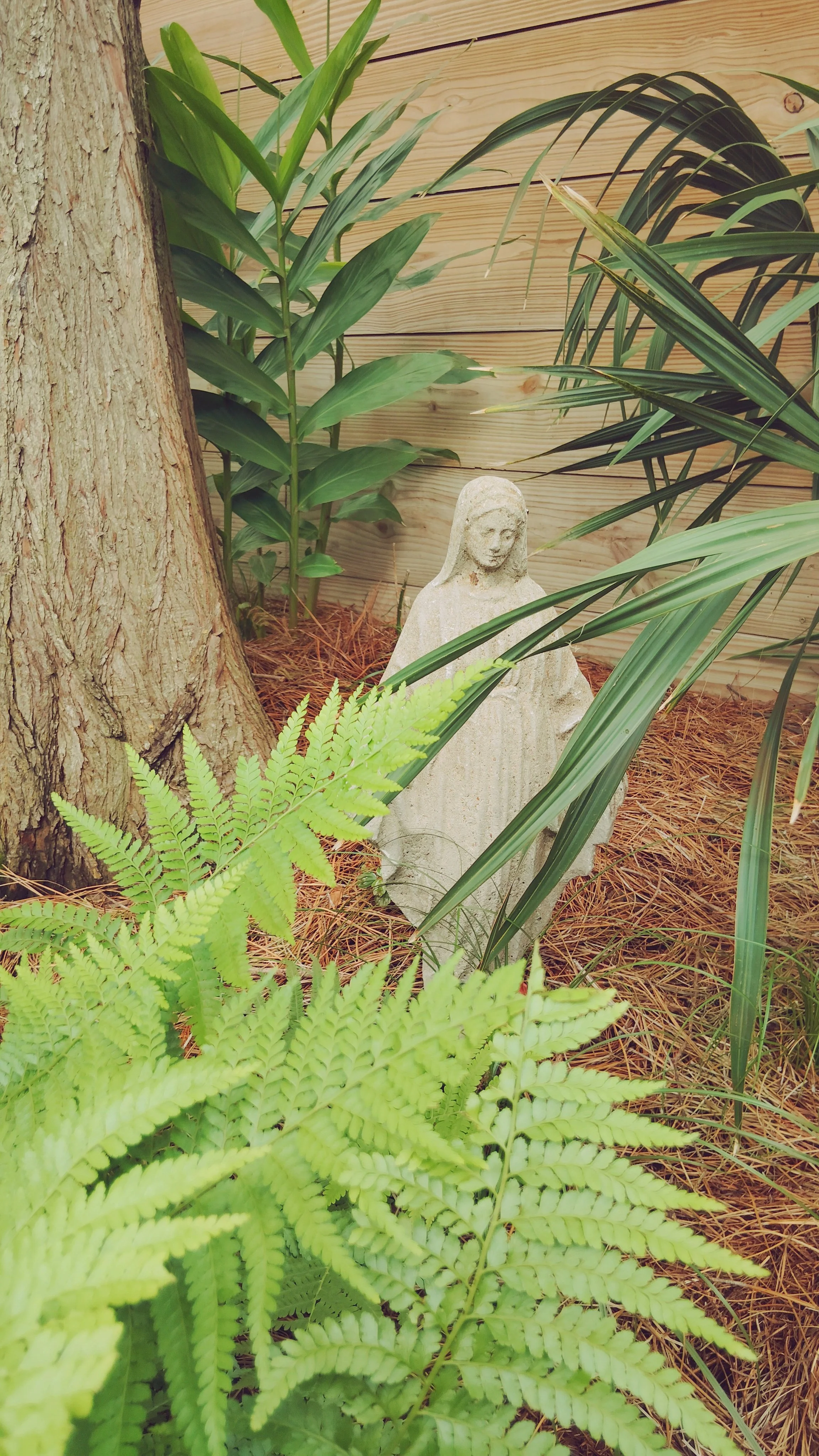 native-shade-garden-ferns-dwarf-palmetto-new-orleans-courtyard.jpg