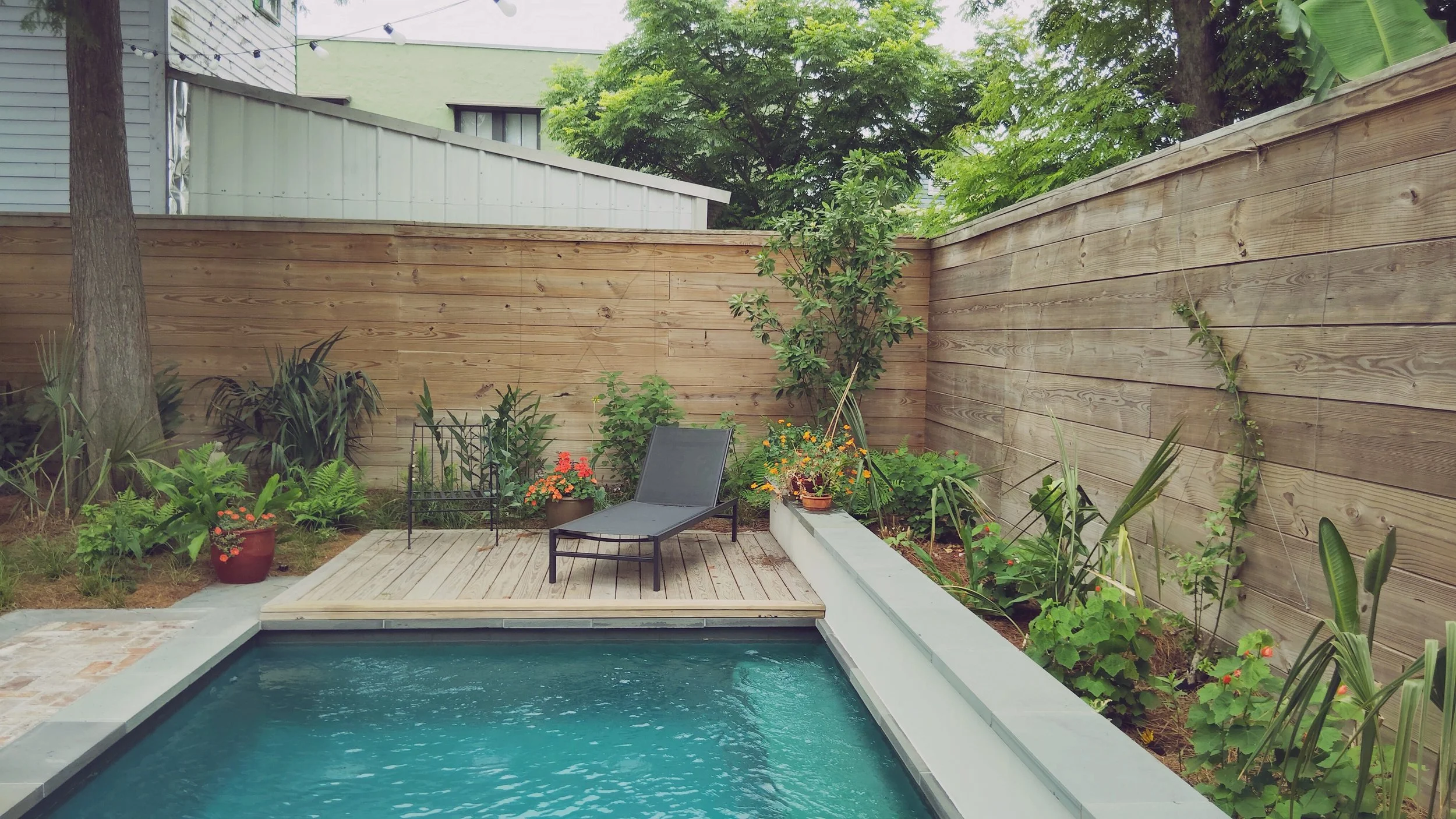 new-orleans-courtyard-pool-landscape-design-native-plants.jpg