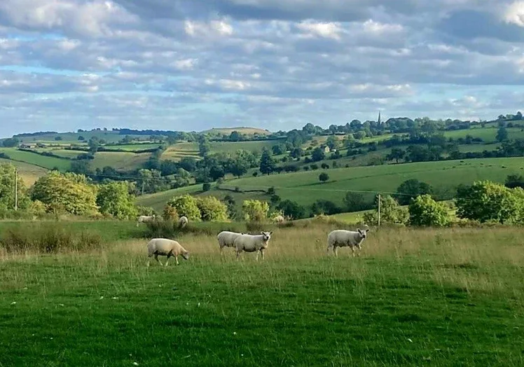 Butterton Artisan market