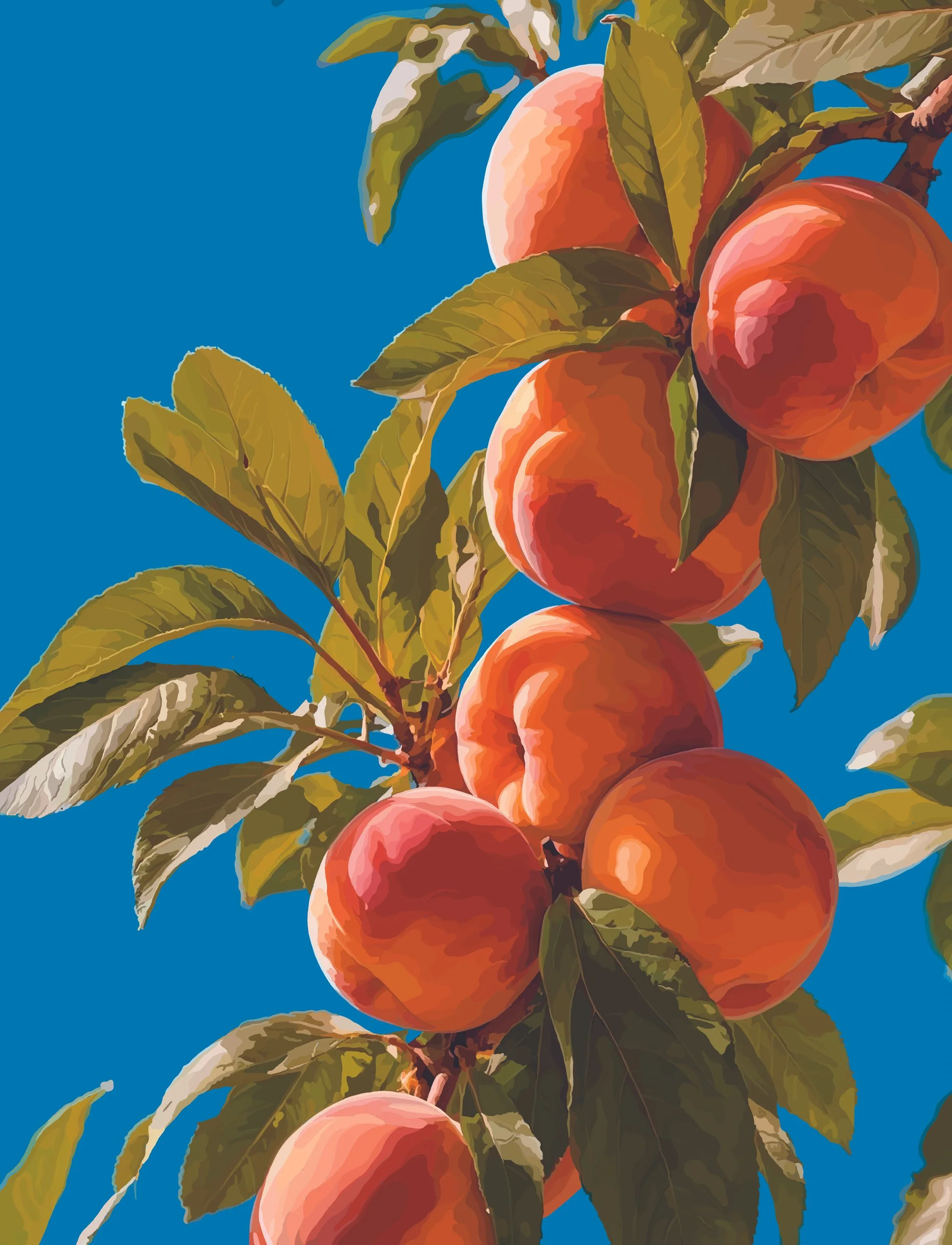 Peach Tree