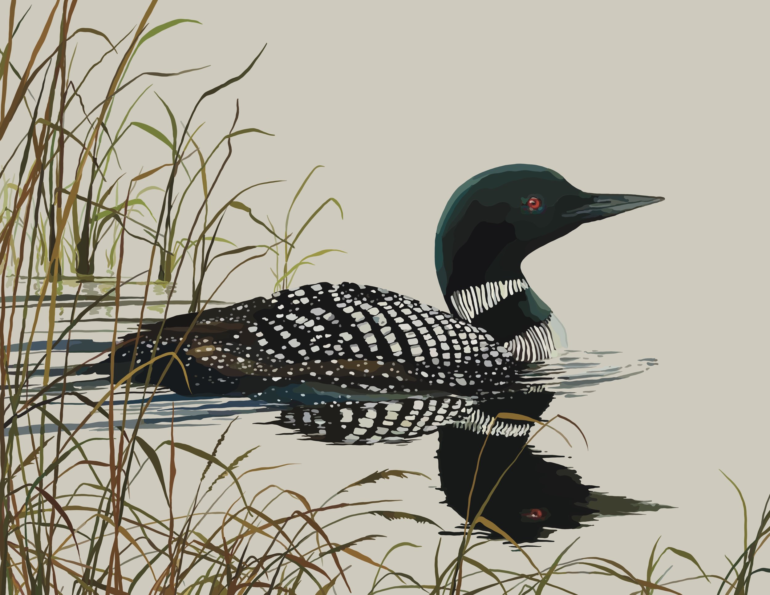 Loon