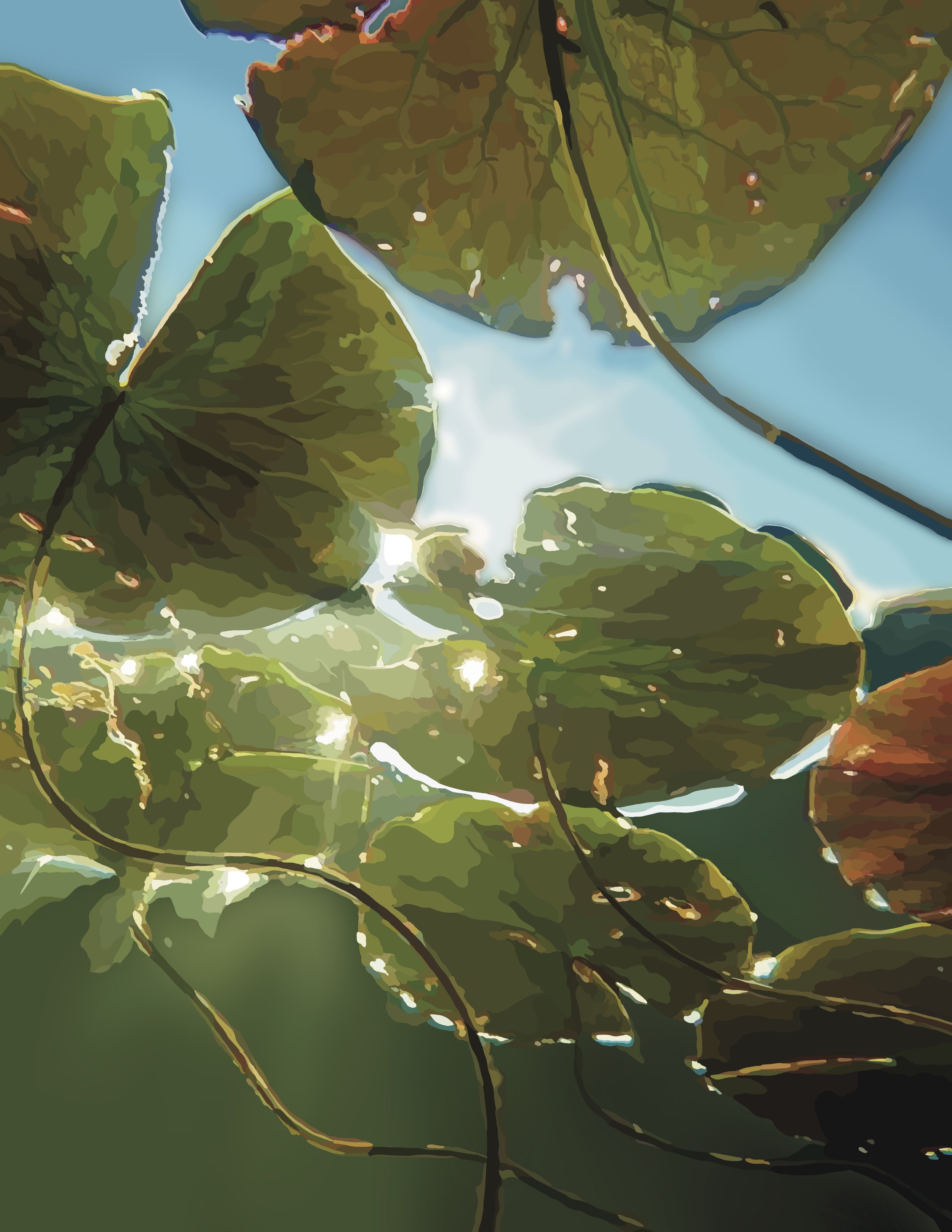 Lilypads