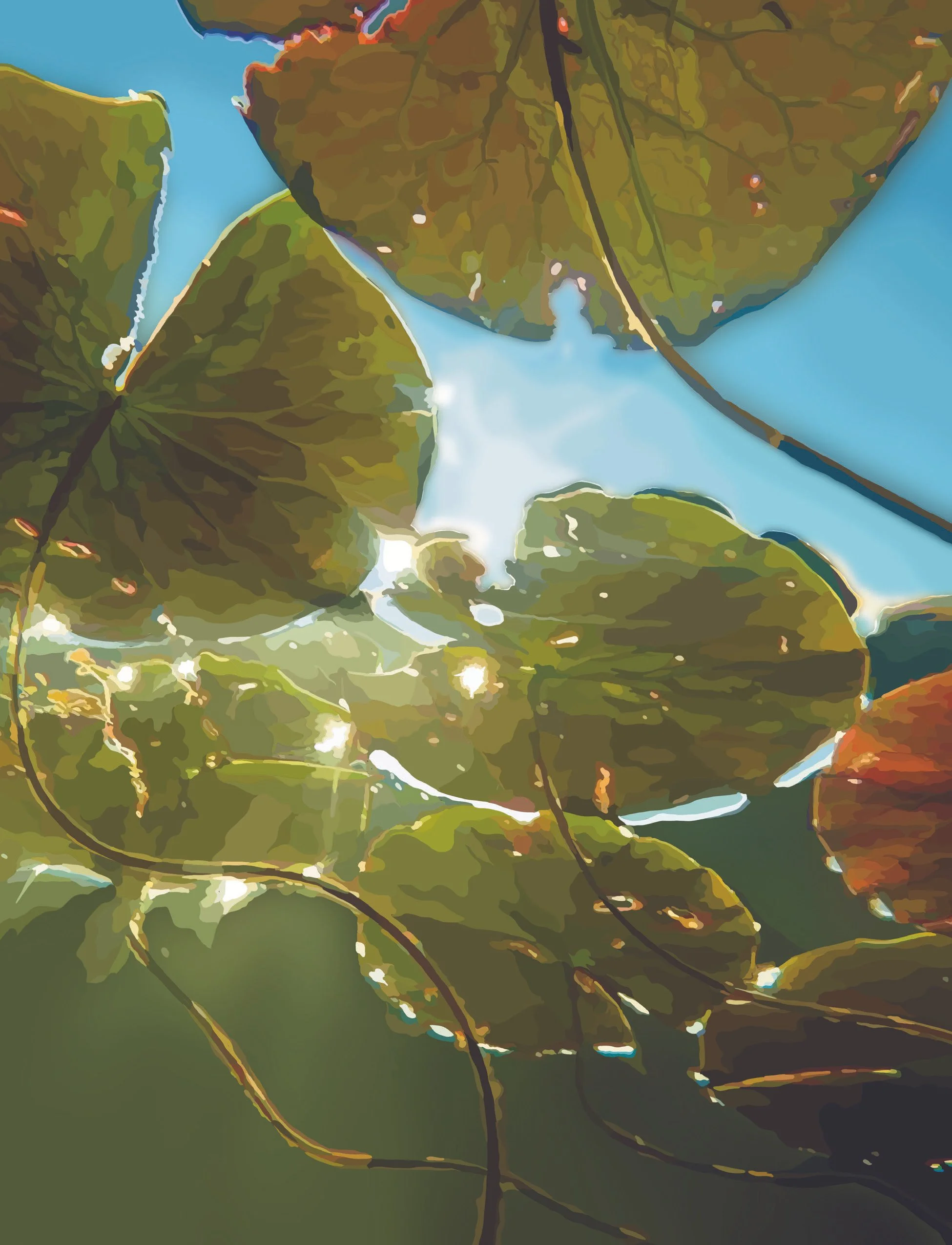 Lilypads