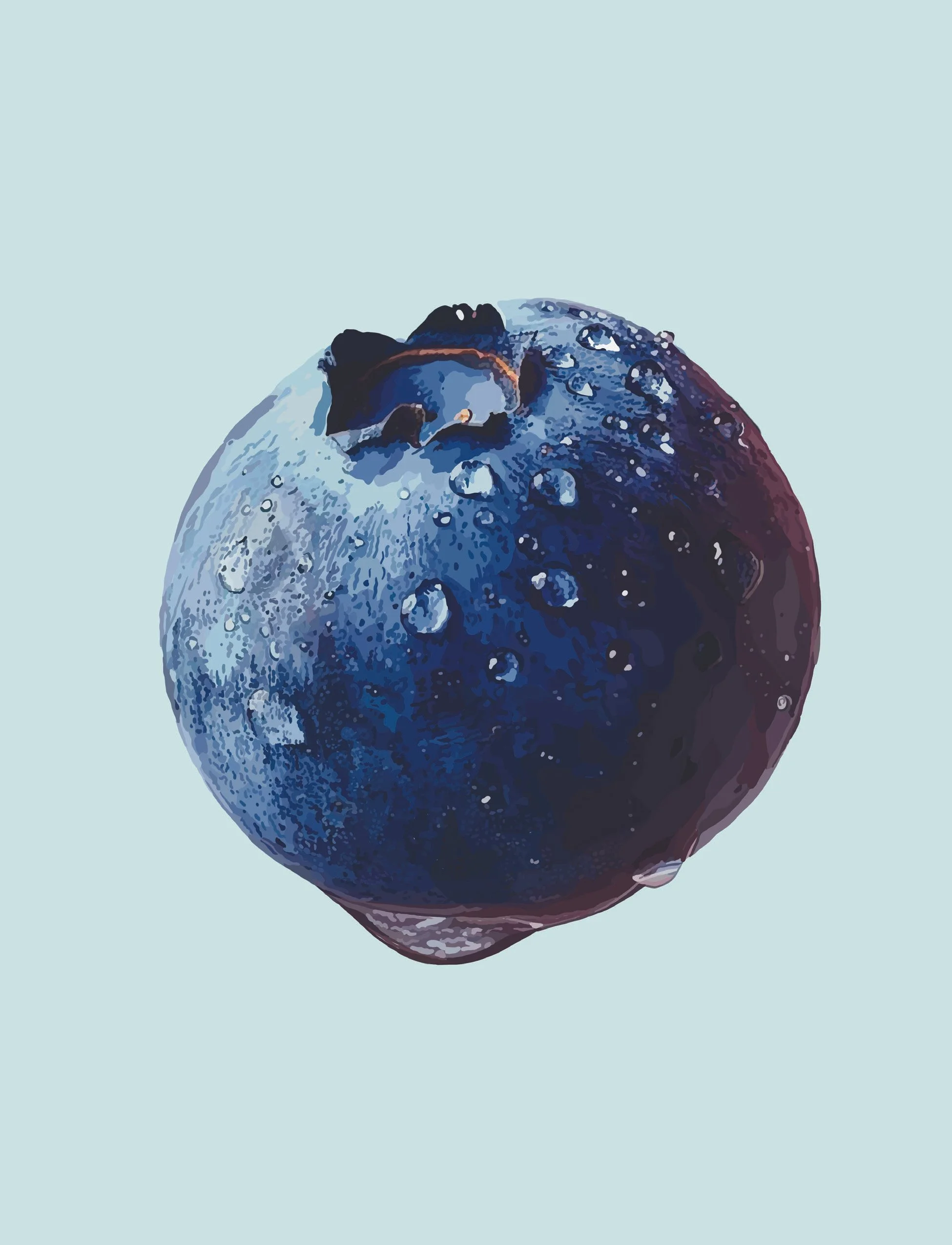 Fruit Series - Blueberry