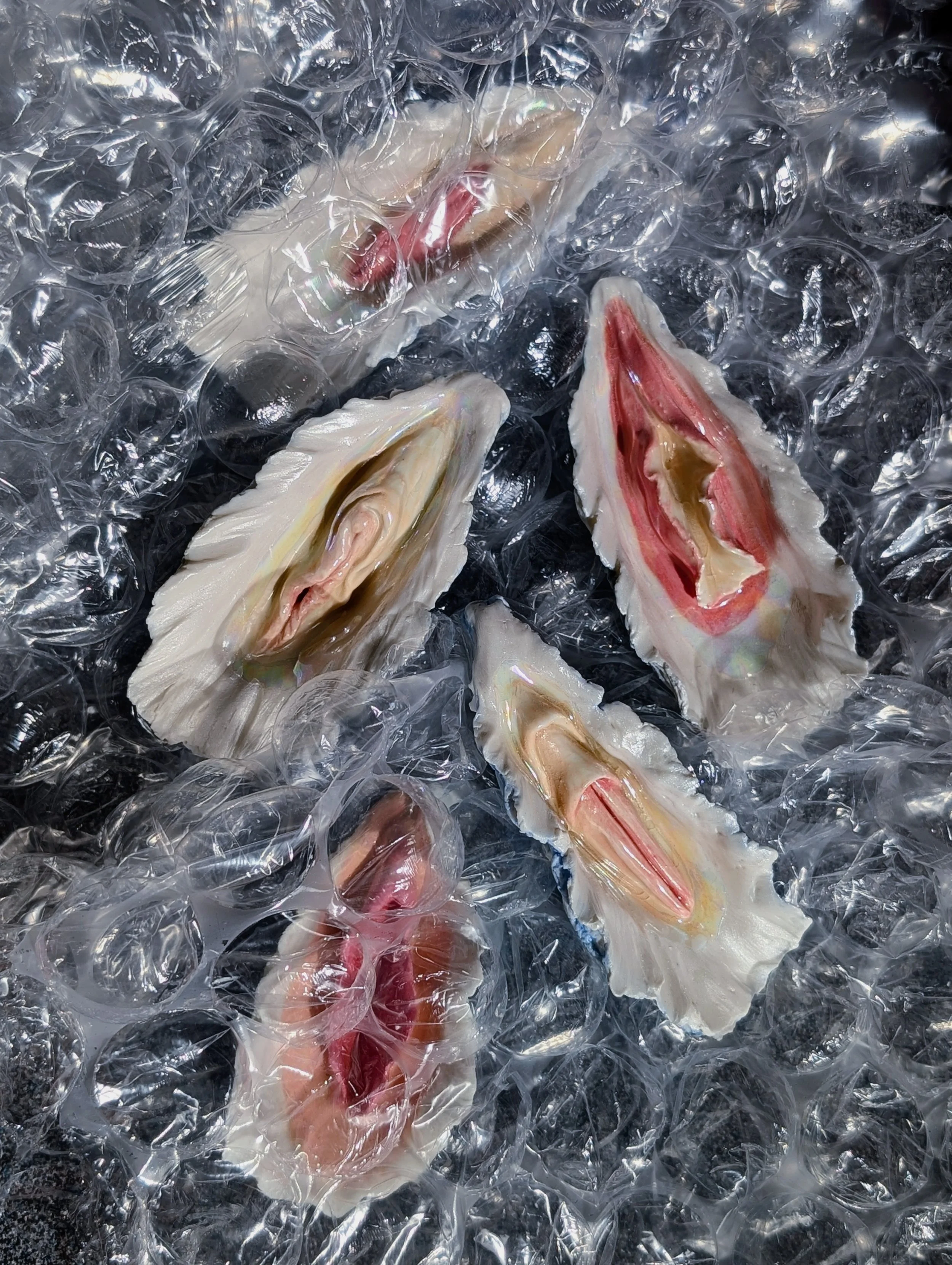 Four clam shells with visible pink and brown meat inside, placed on bubble wrap.