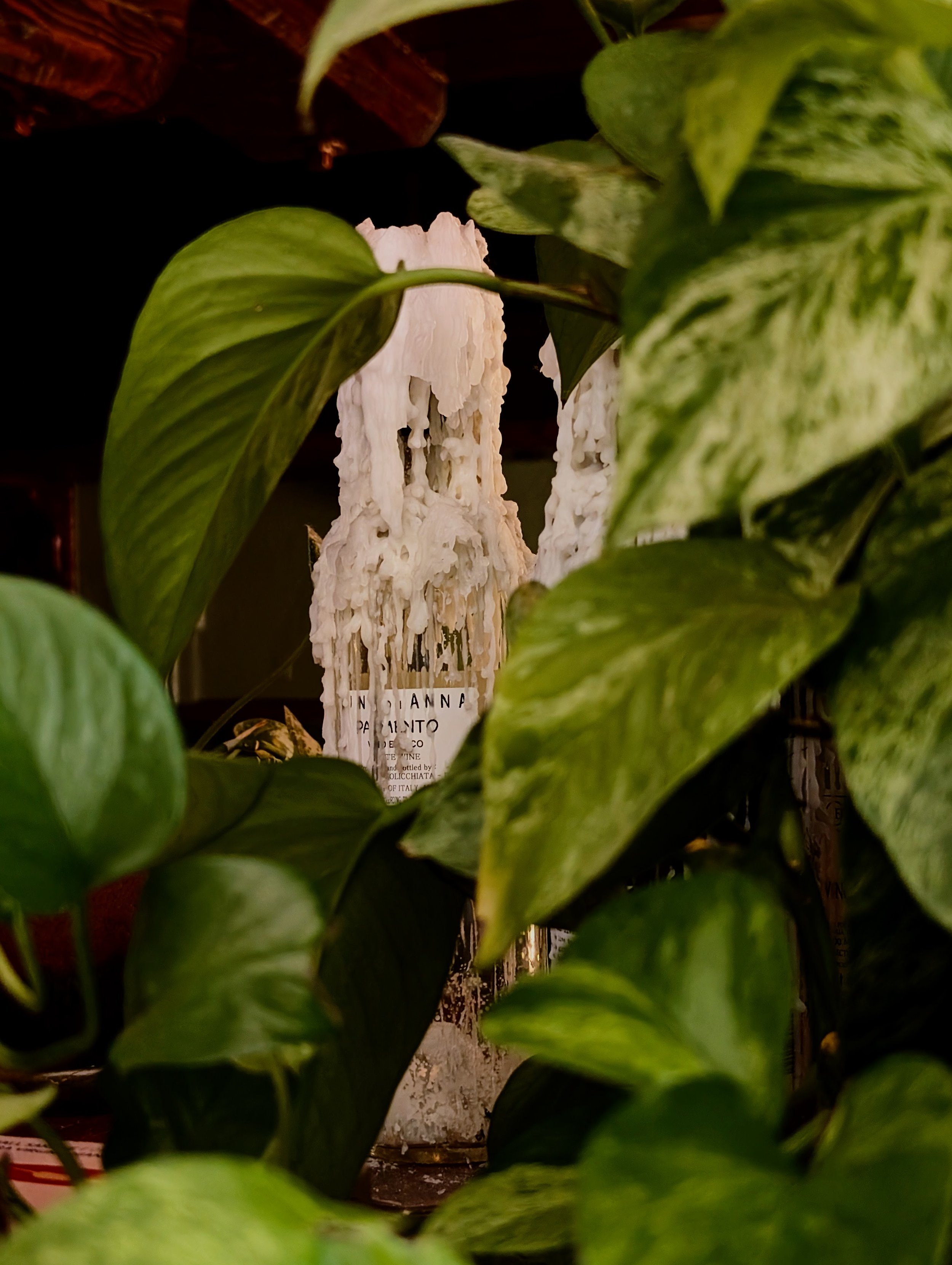 White decorative candle covered with intricate wax drippings, surrounded by green leaves.