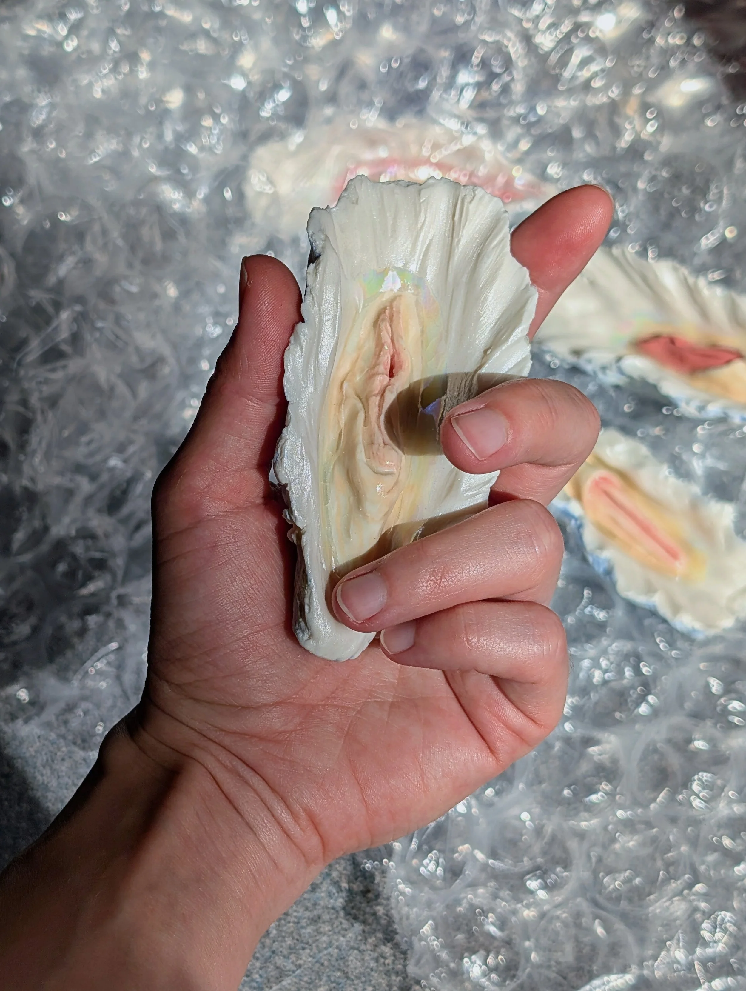 Close-up of a hand holding an open oyster shell, with some wet bubble wrap in the background.