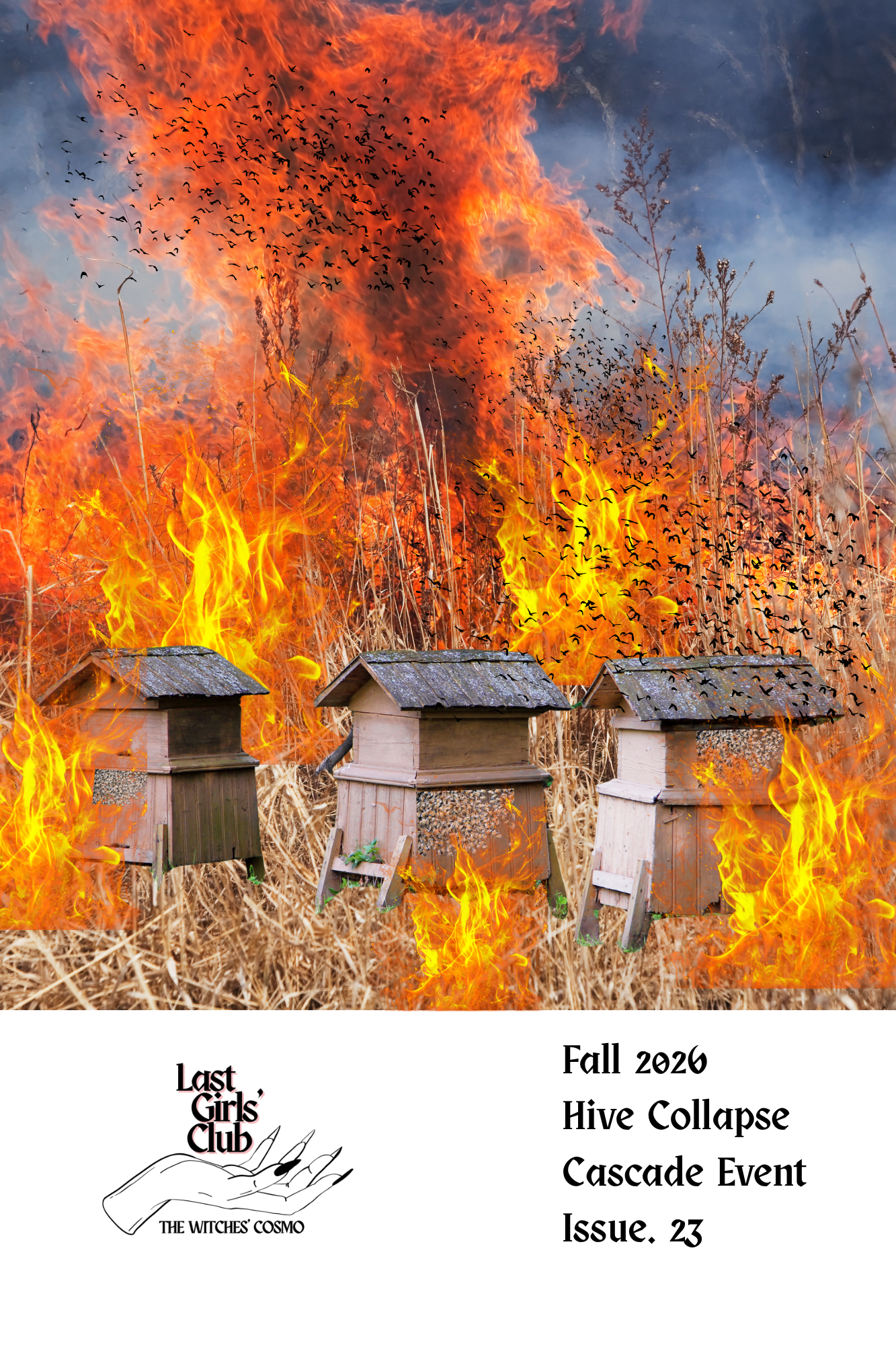Fall 2026 Cover (2).png