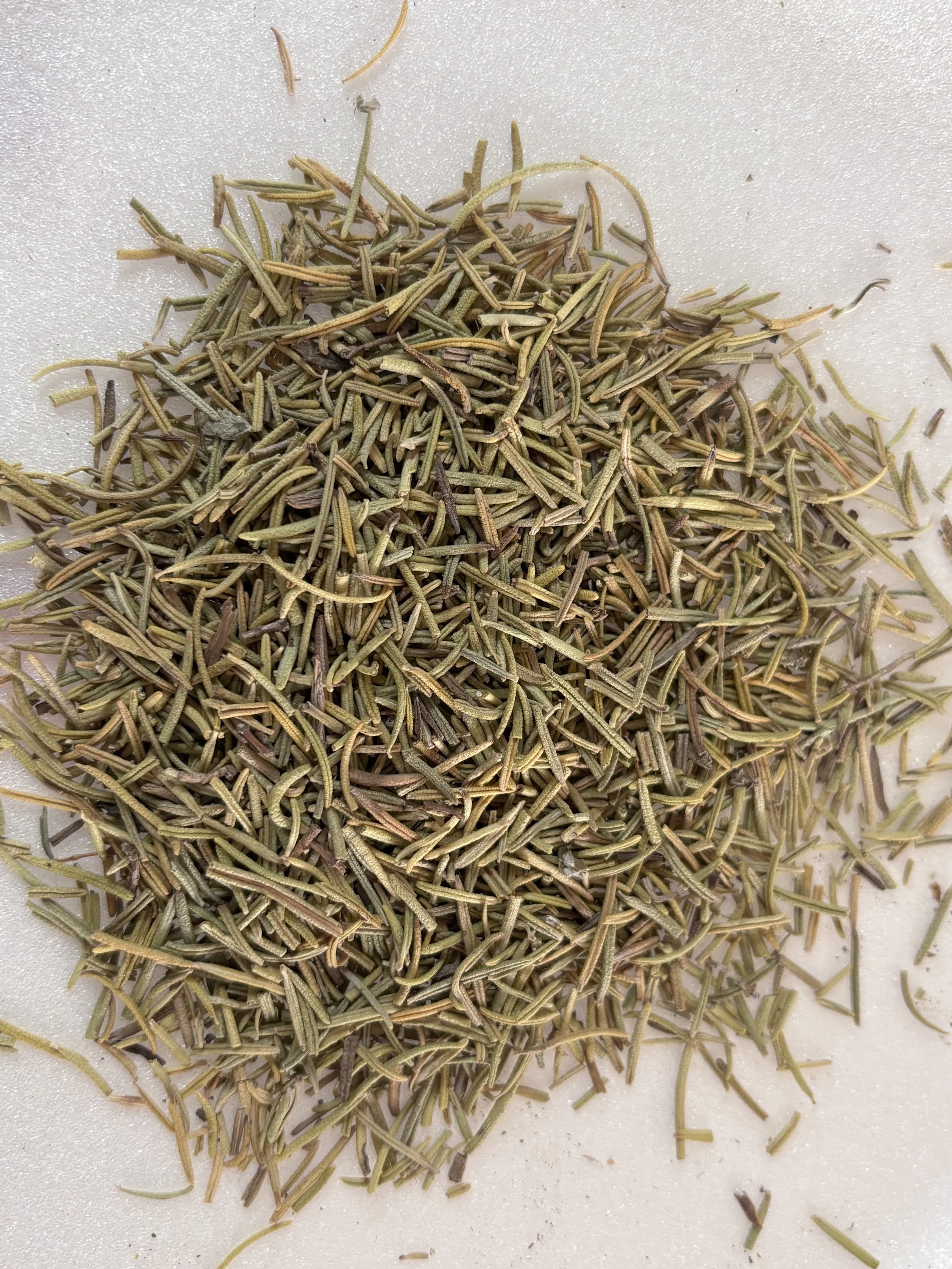 Rosemary