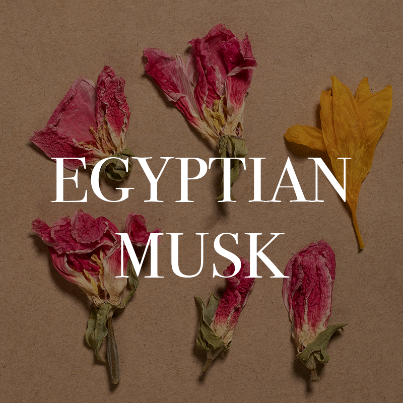 perfume-u-egyptian-musk.png