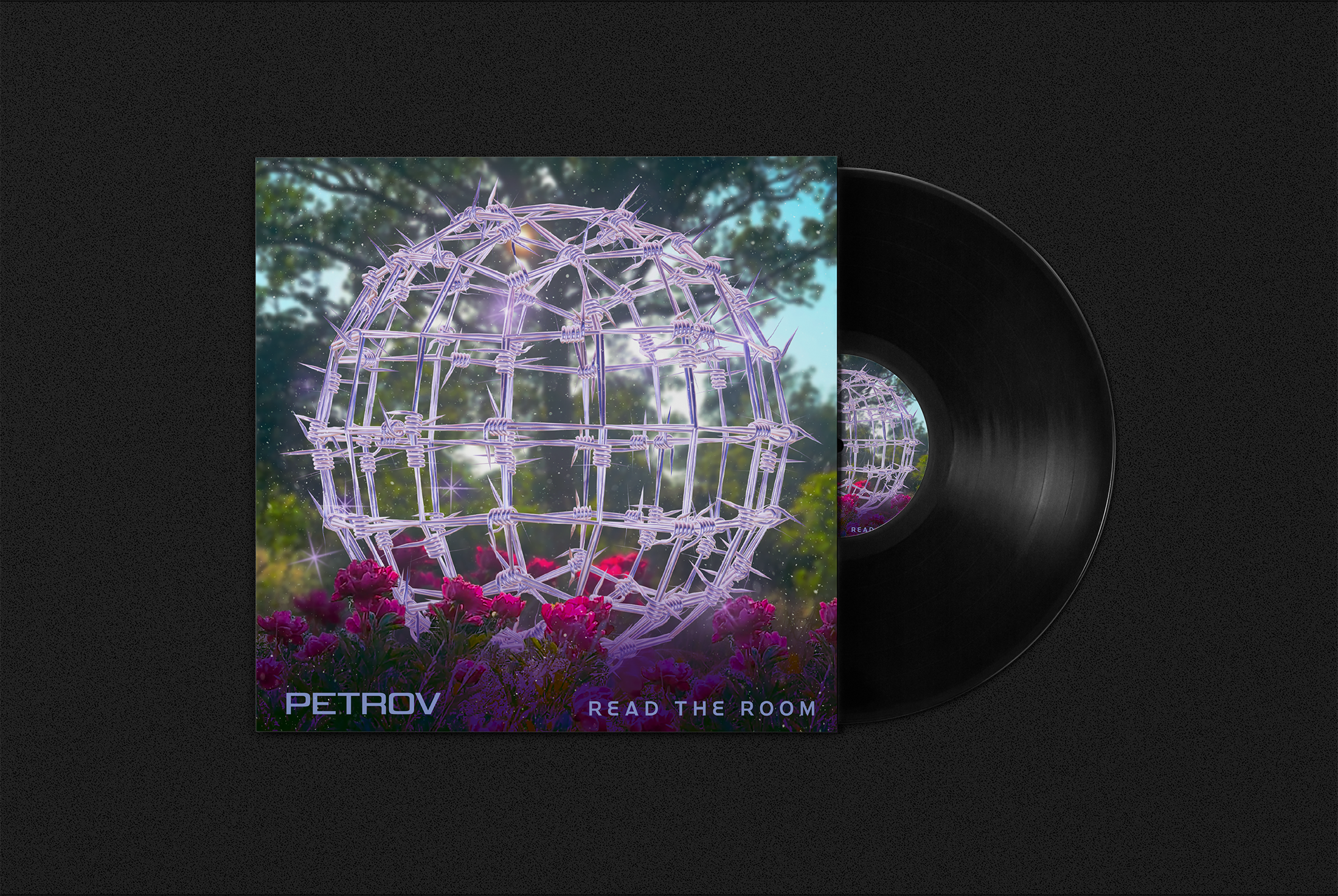 Petrov-Read-the-Room-Vinyl.png