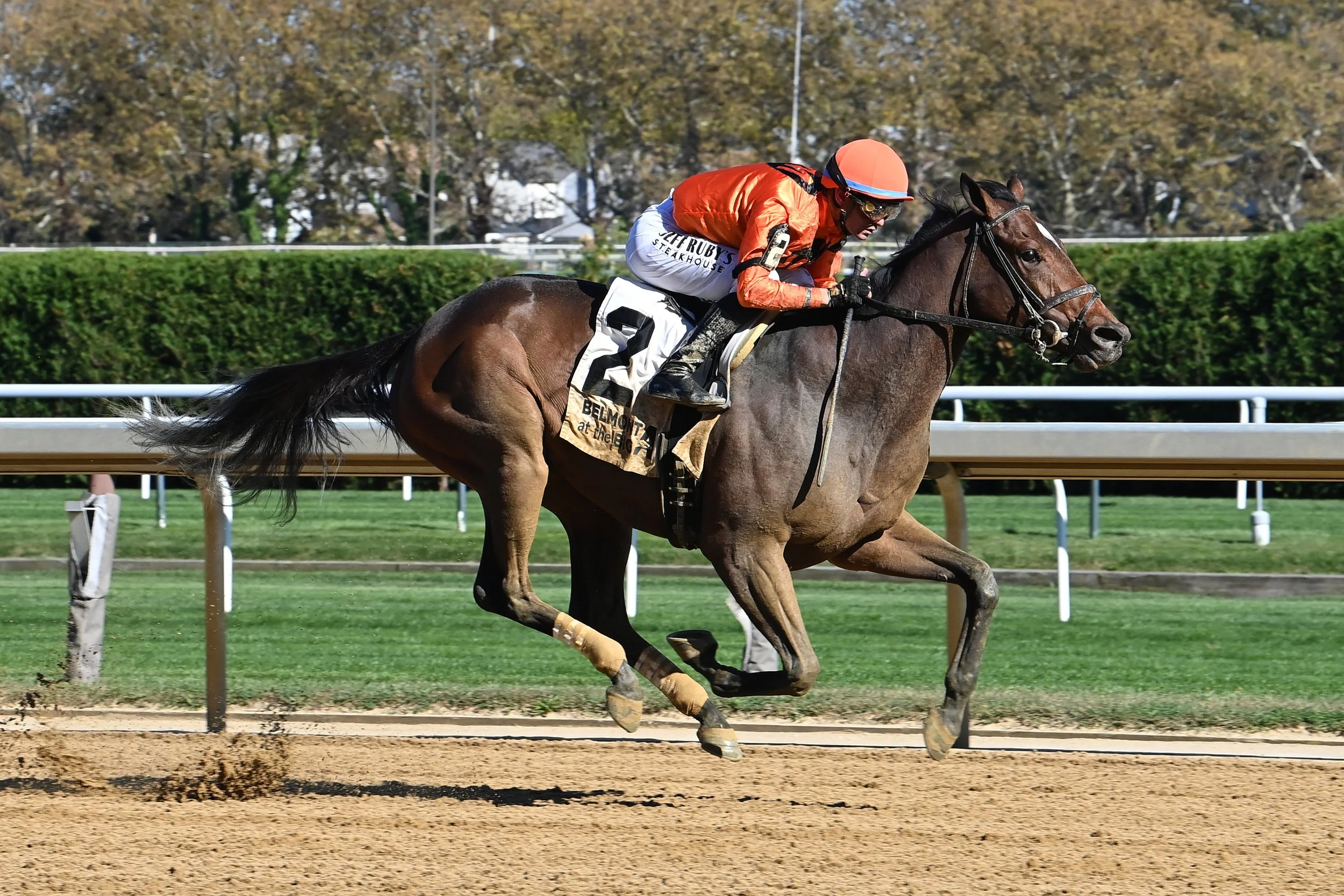 WITH THE ANGELS 43.JPG