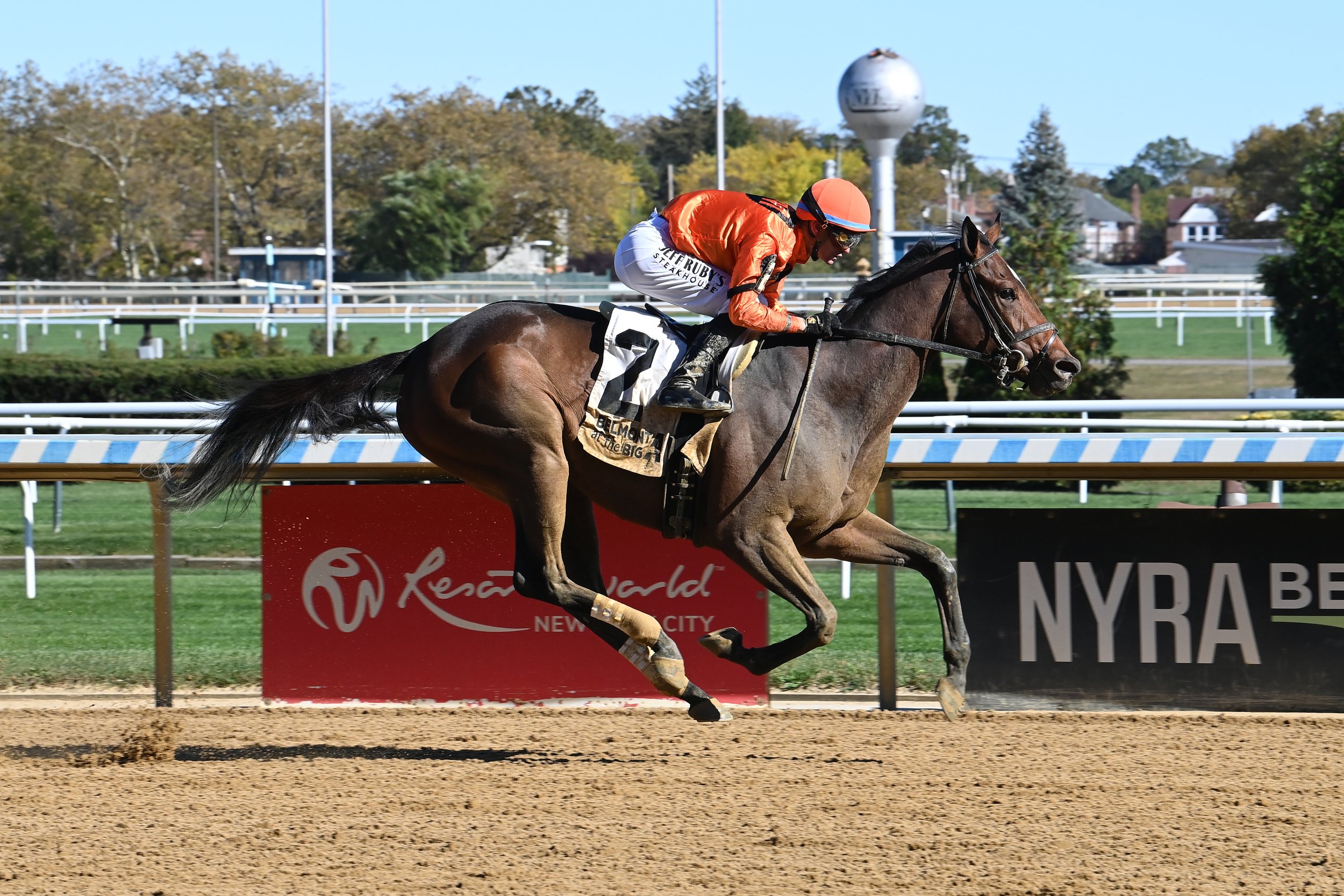 WITH THE ANGELS 4 2.JPG