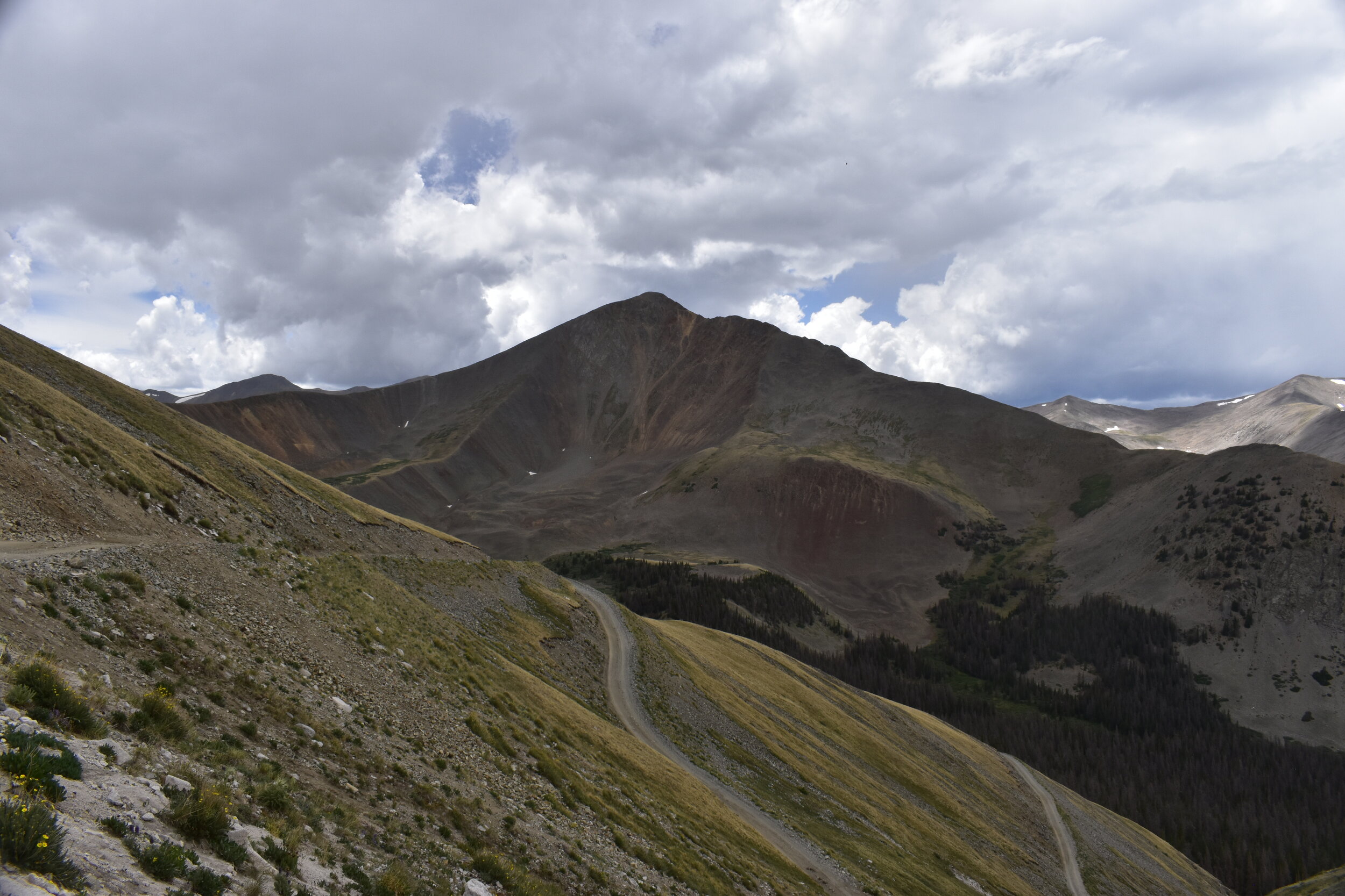 _DSC0781.JPG