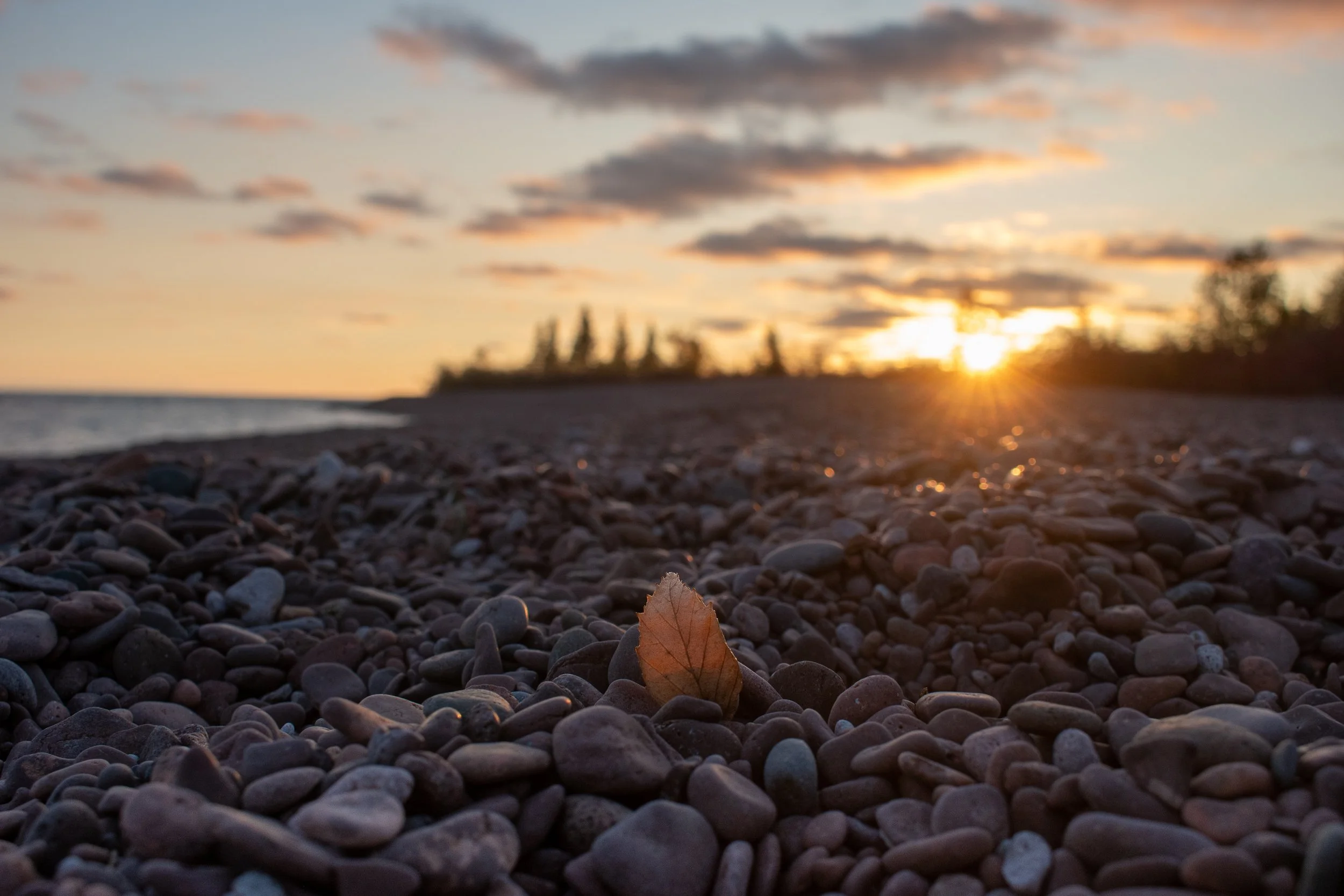 Fall Leaf on Lake Superior Shore.jpg